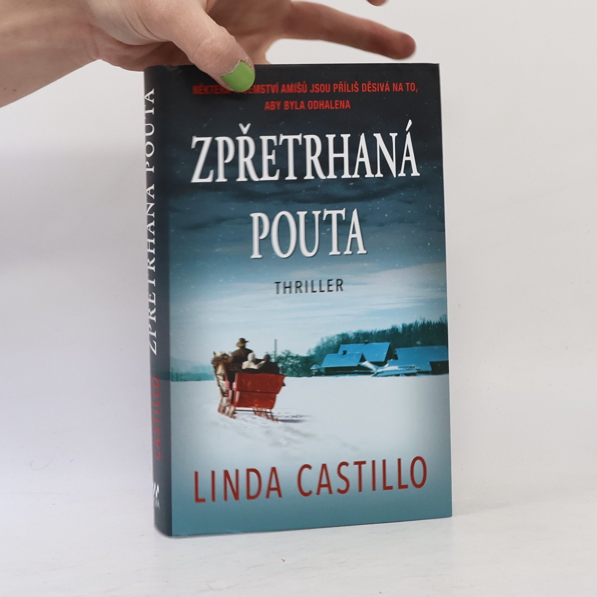 Linda Castillo Zpřetrhaná pouta