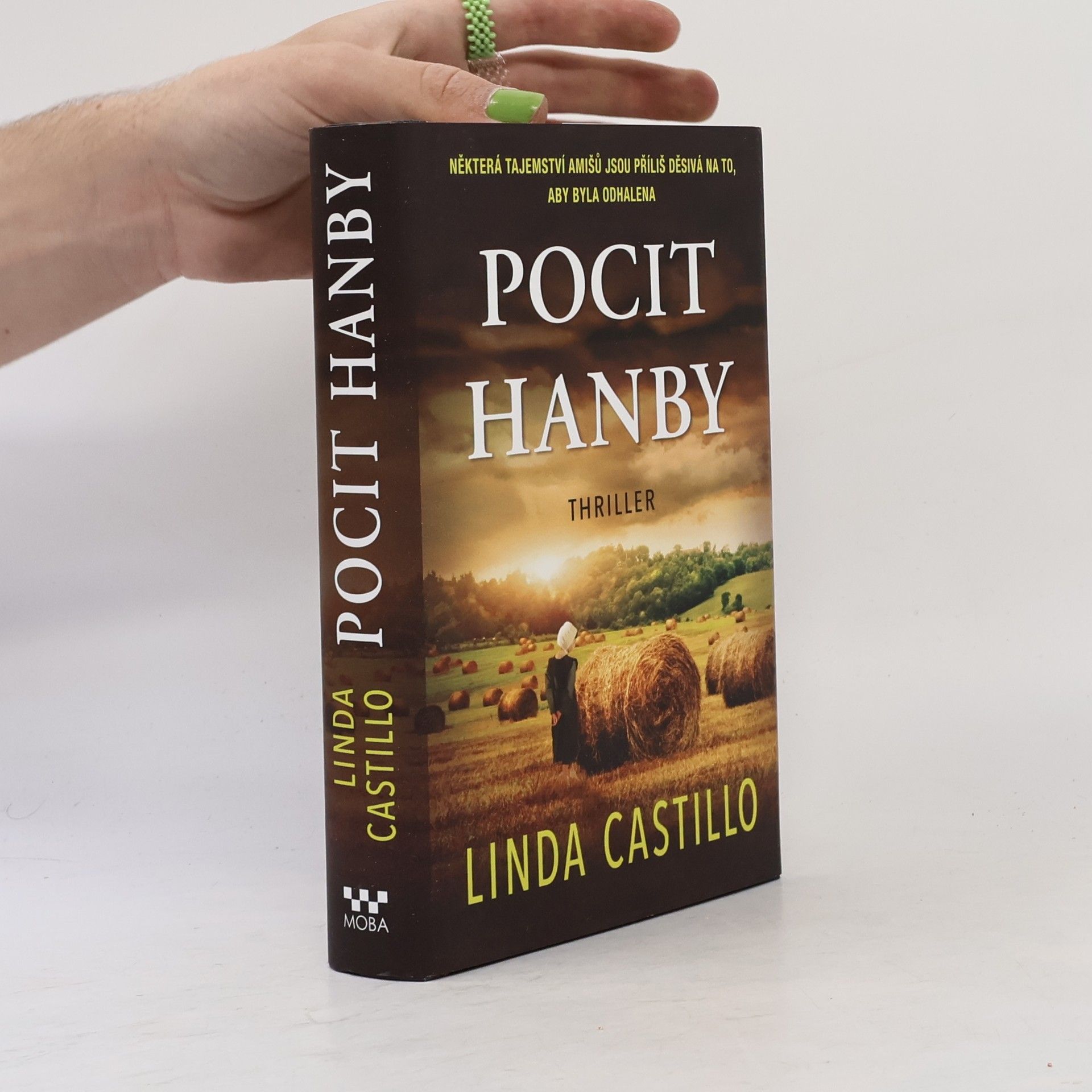 Linda Castillo Pocit hanby