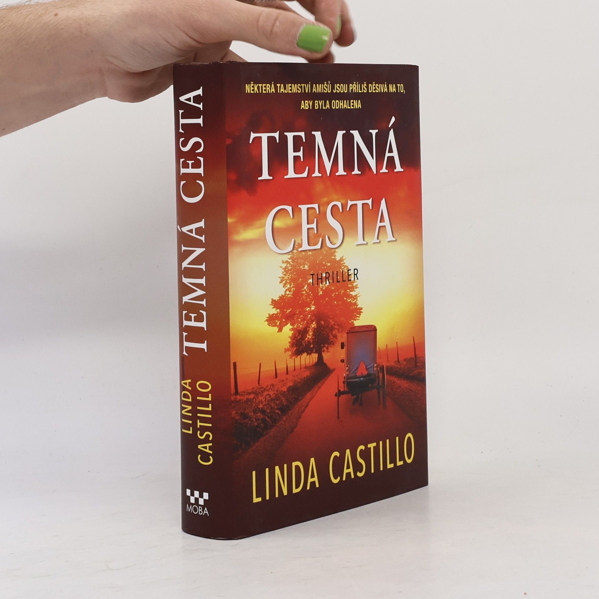 Linda Castillo Temná cesta