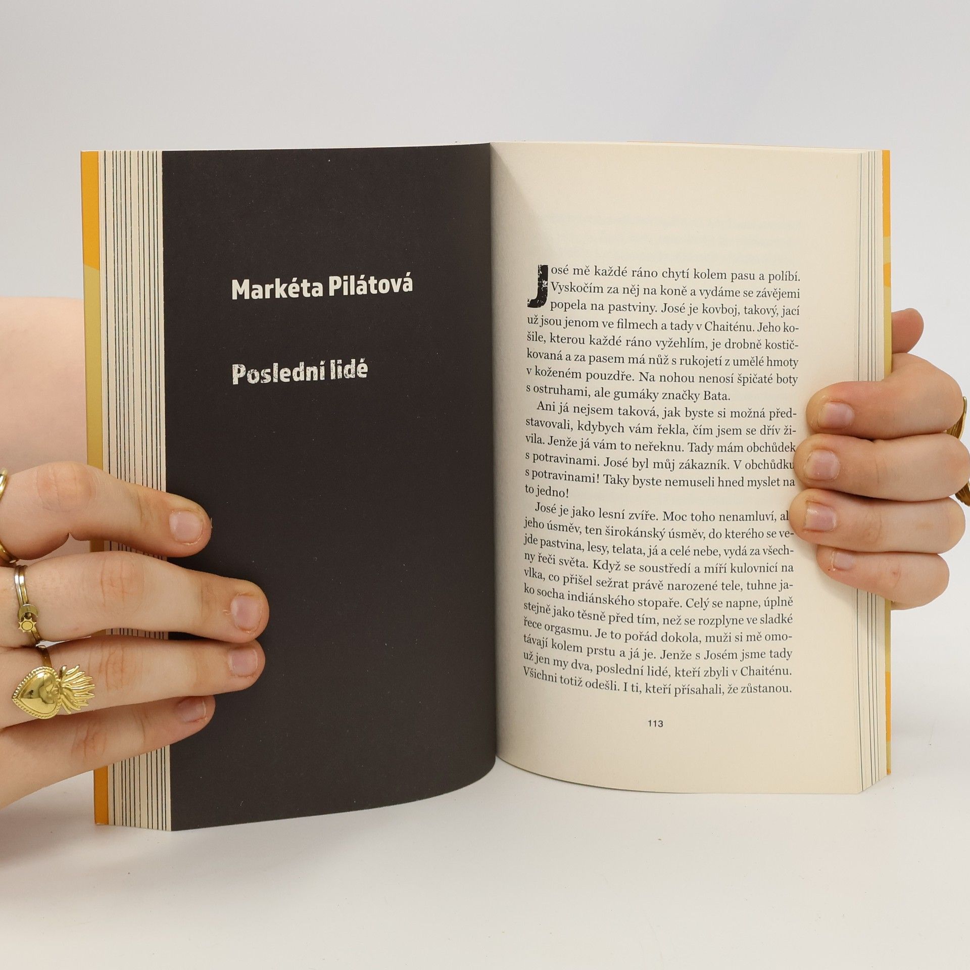 Autores varios Za oknem : 19 spisovatelů proti covid-19
