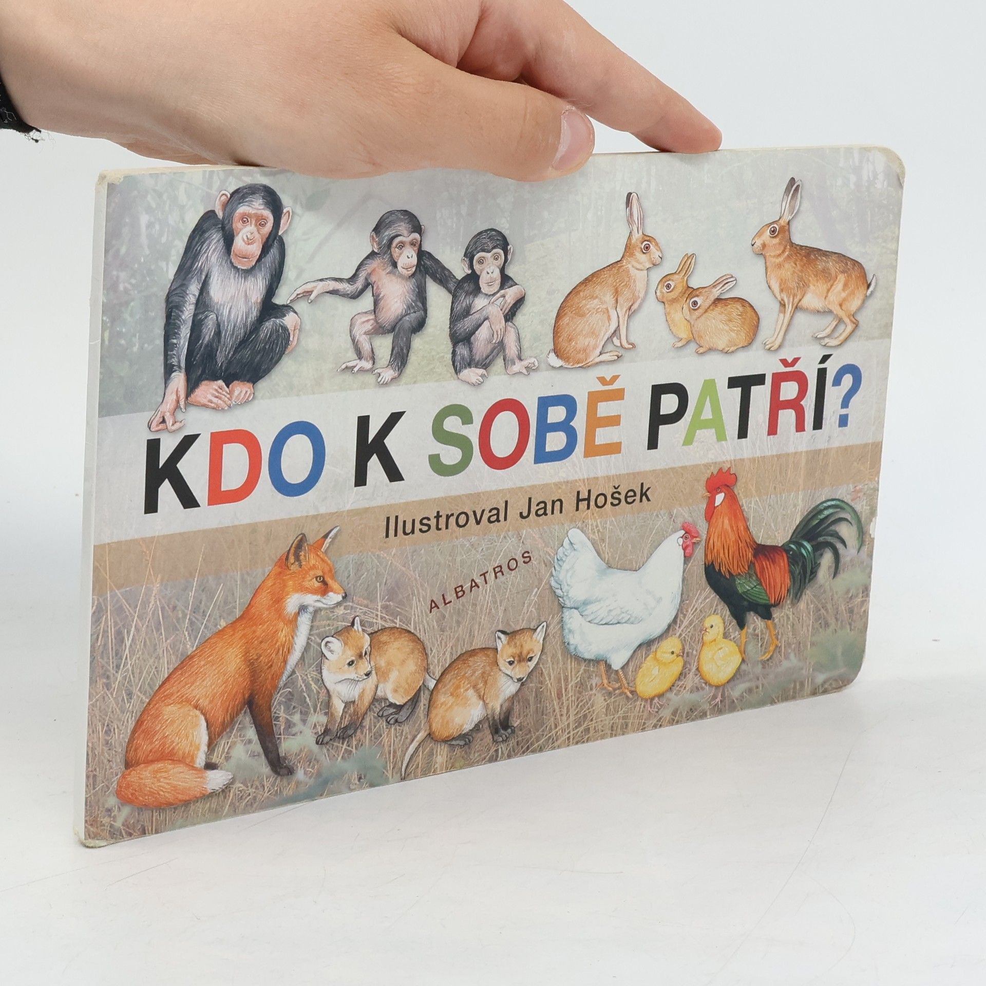 Jana Mikulecká Kdo k sobě patří