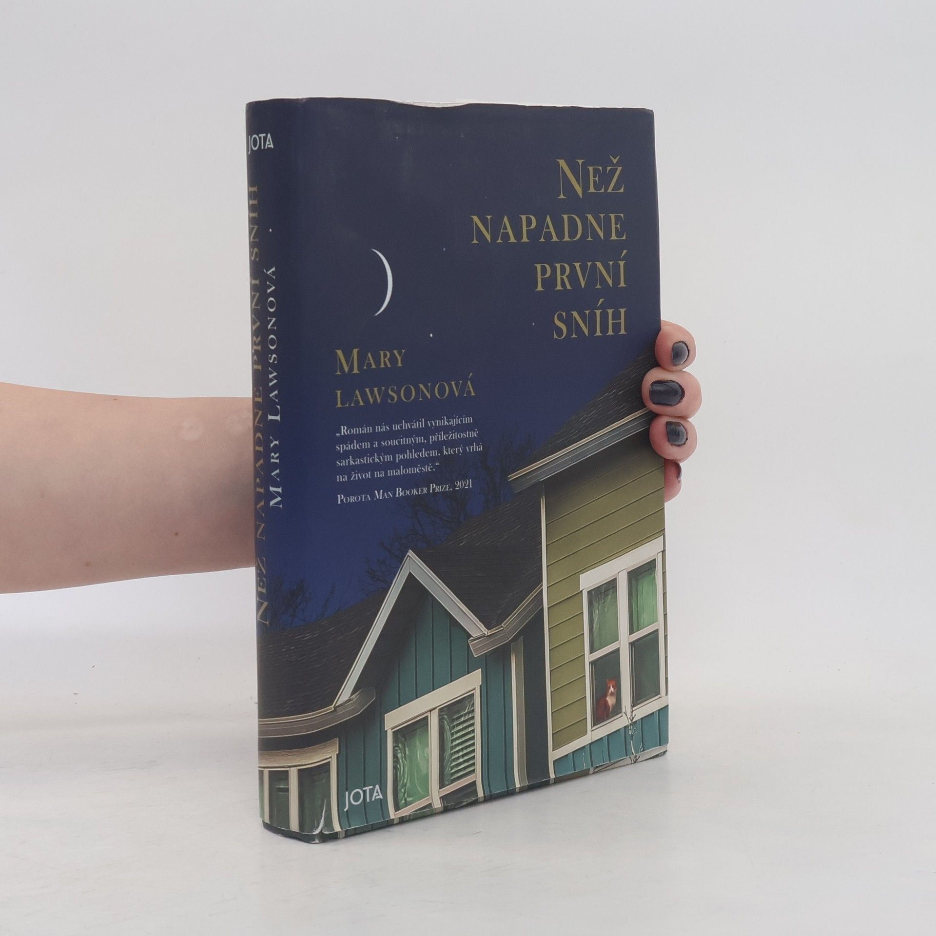 Mary Lawson Než napadne první sníh
