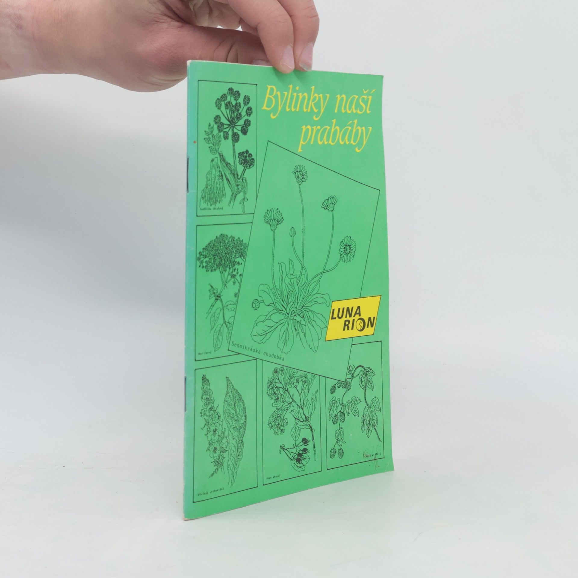 Collectif d'auteurs Bylinky naší prabáby