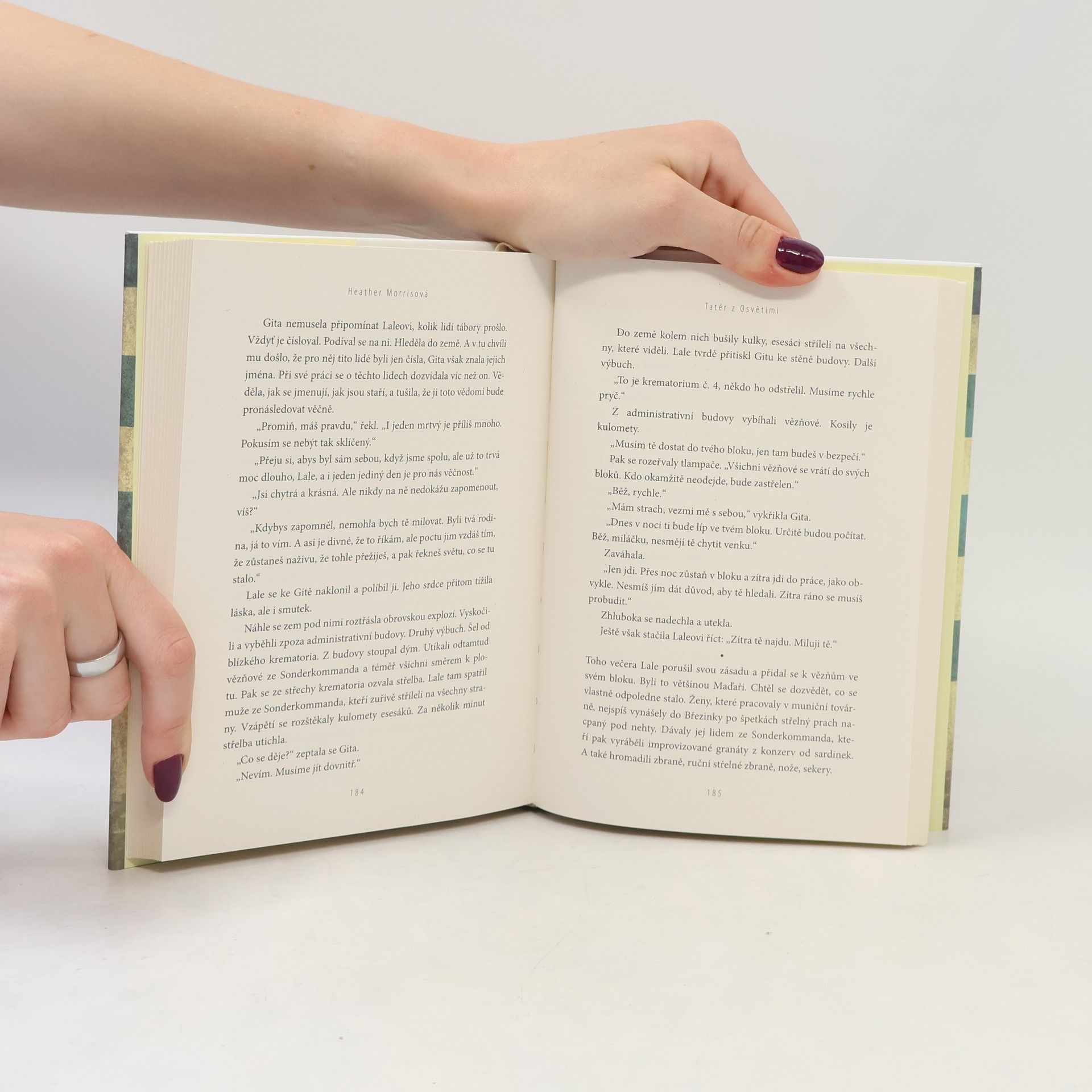 Heather Morris Tatér z Osvětimi