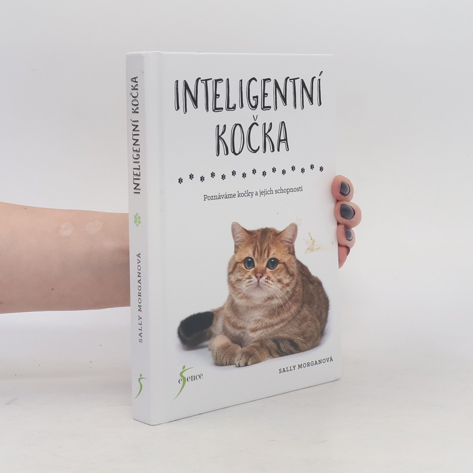Sally Morgan Inteligentní kočka : poznáváme kočky a jejich schopnosti