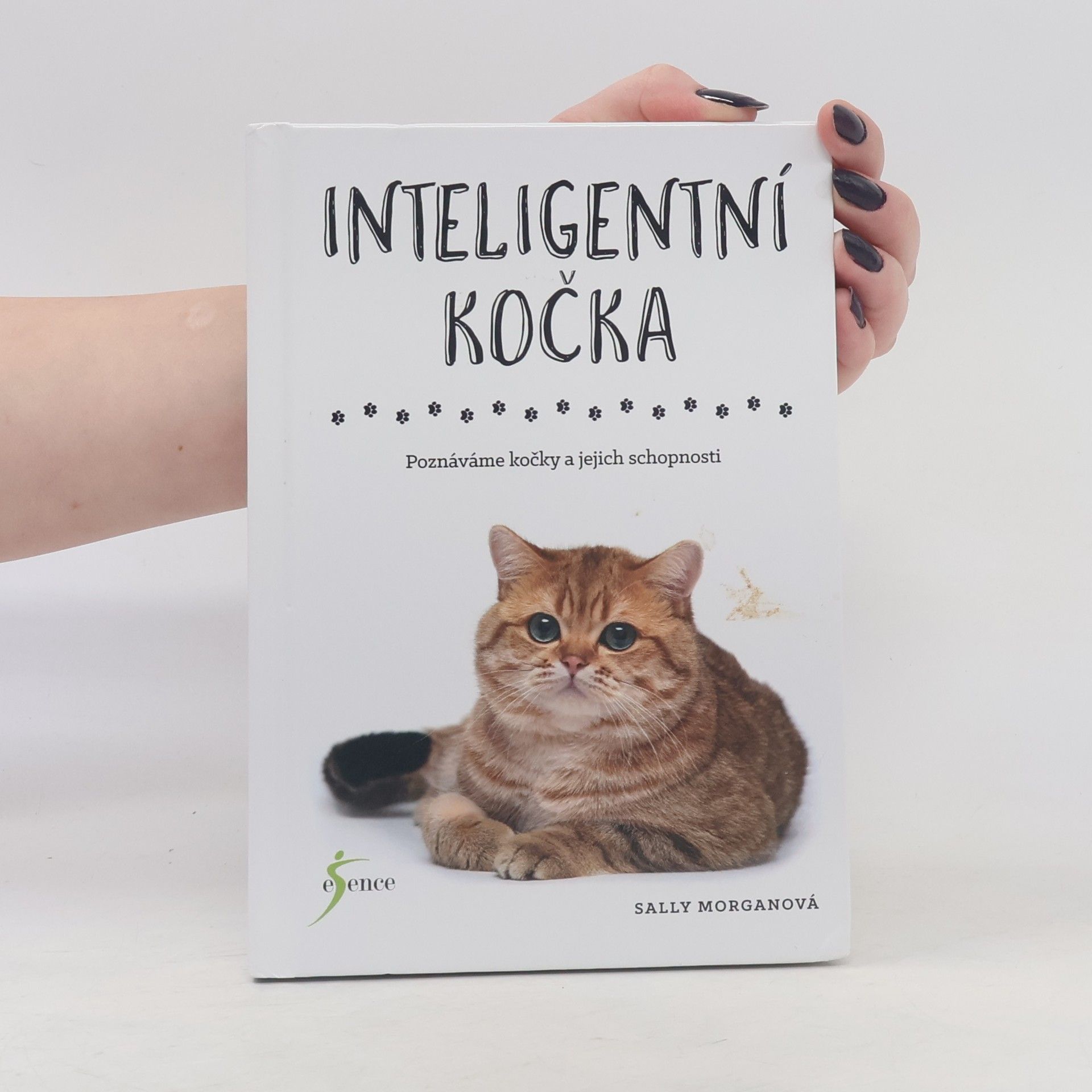 Sally Morgan Inteligentní kočka : poznáváme kočky a jejich schopnosti