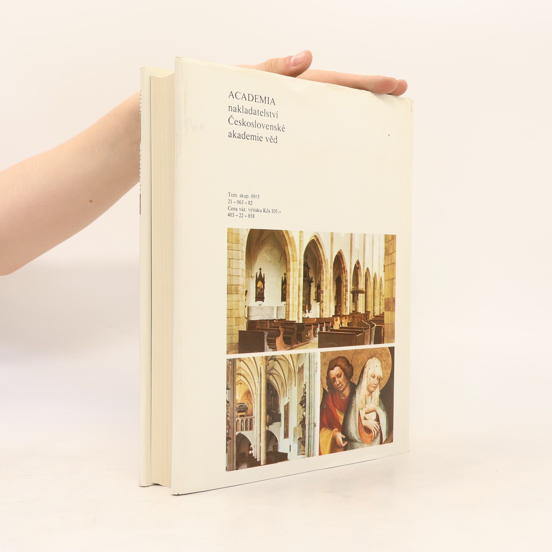 Various authors Umělecké památky Čech 4. T-Ž