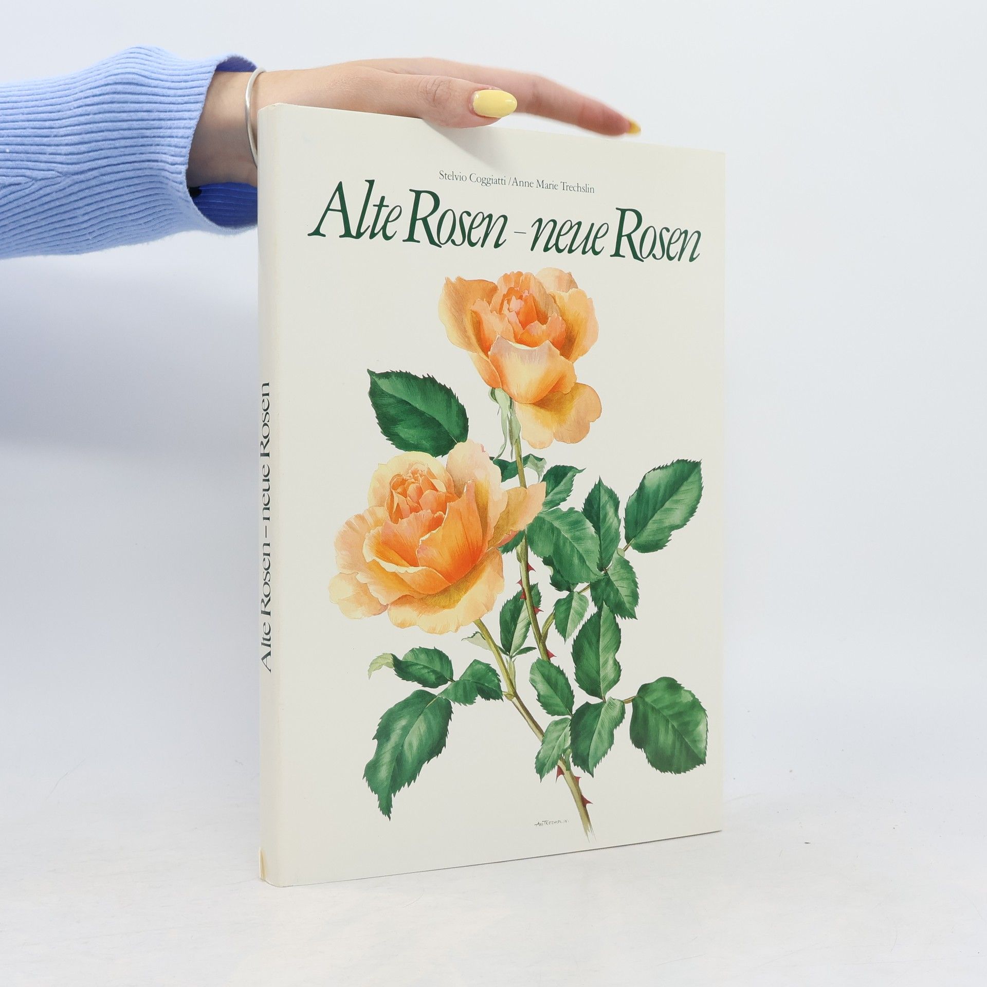 Anne Marie Trechslin Alte Rosen - neue Rosen