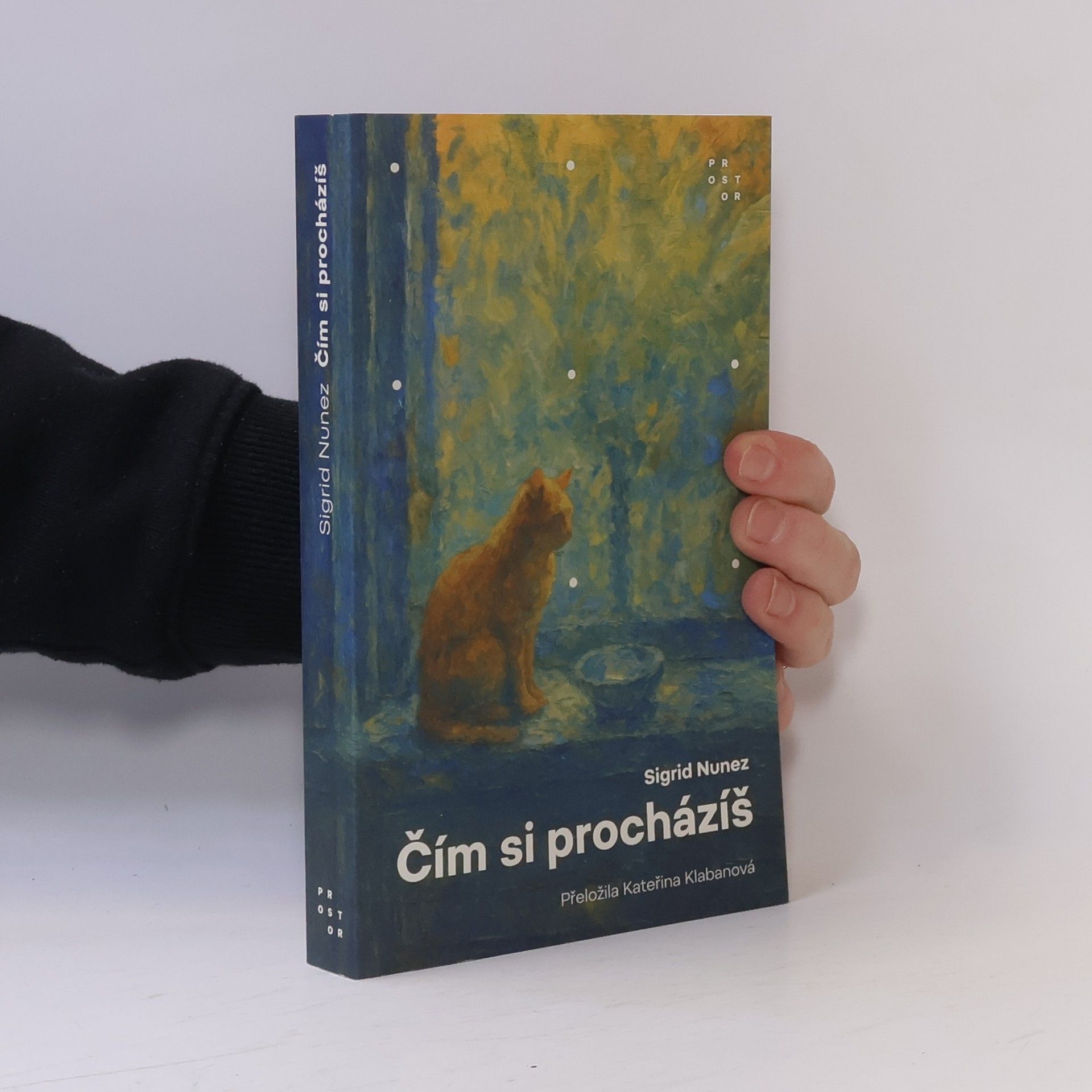 Sigrid Nunez Čím si procházíš