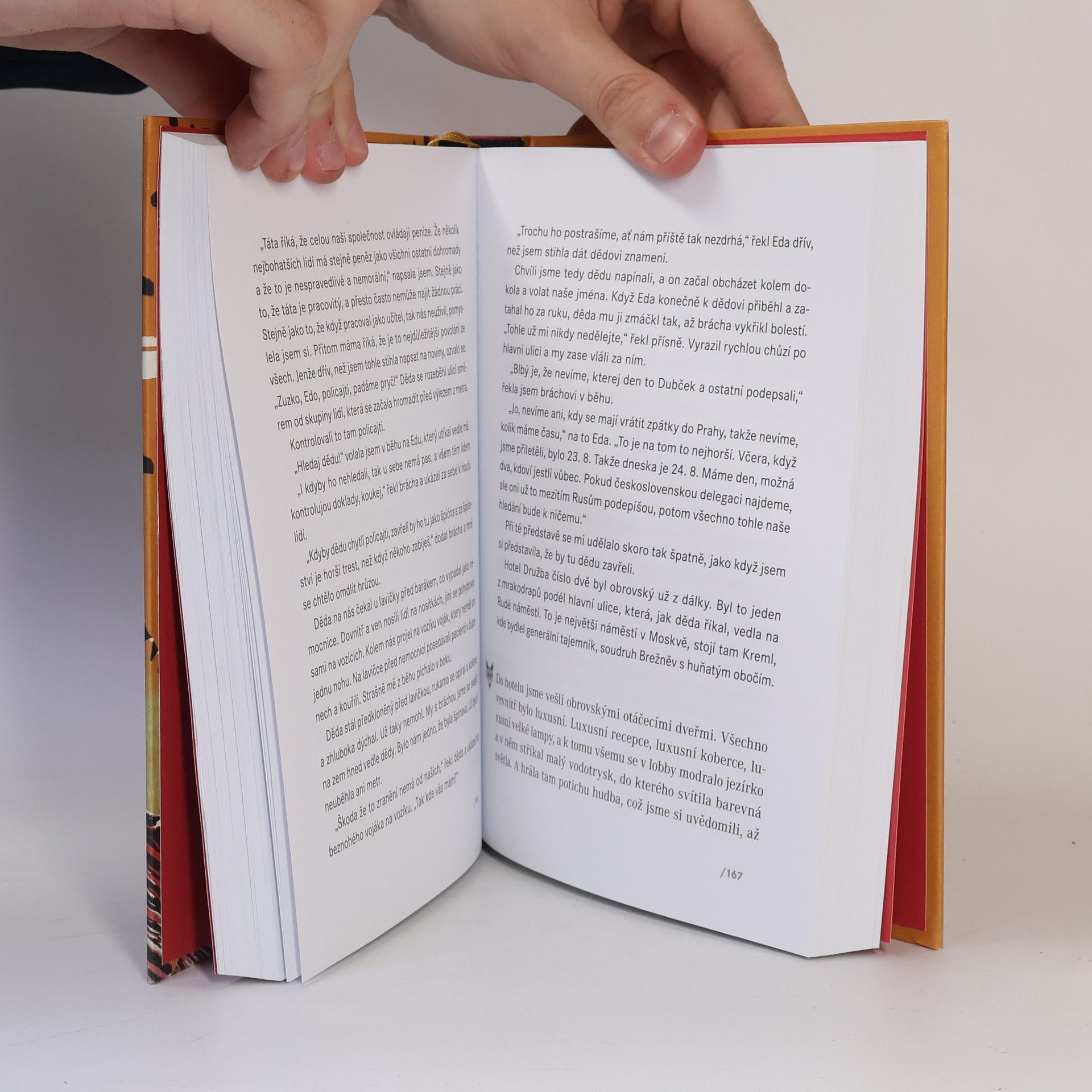 Hůlová Petra Liščí oči