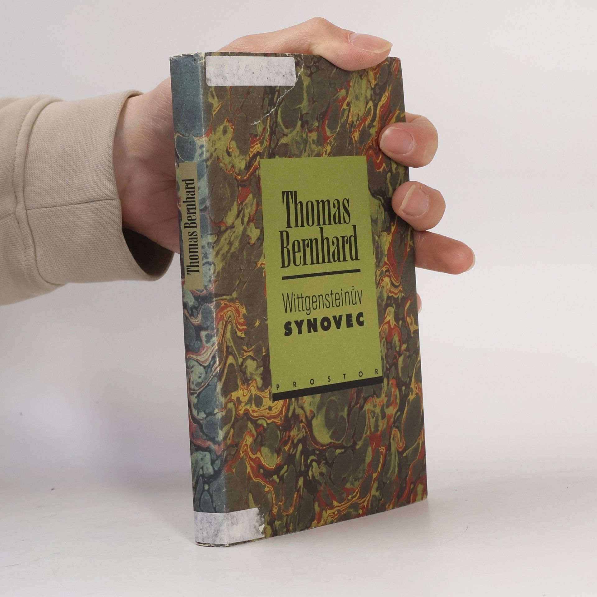 Thomas Bernhard Wittgensteinův synovec : (o jednom přátelství)