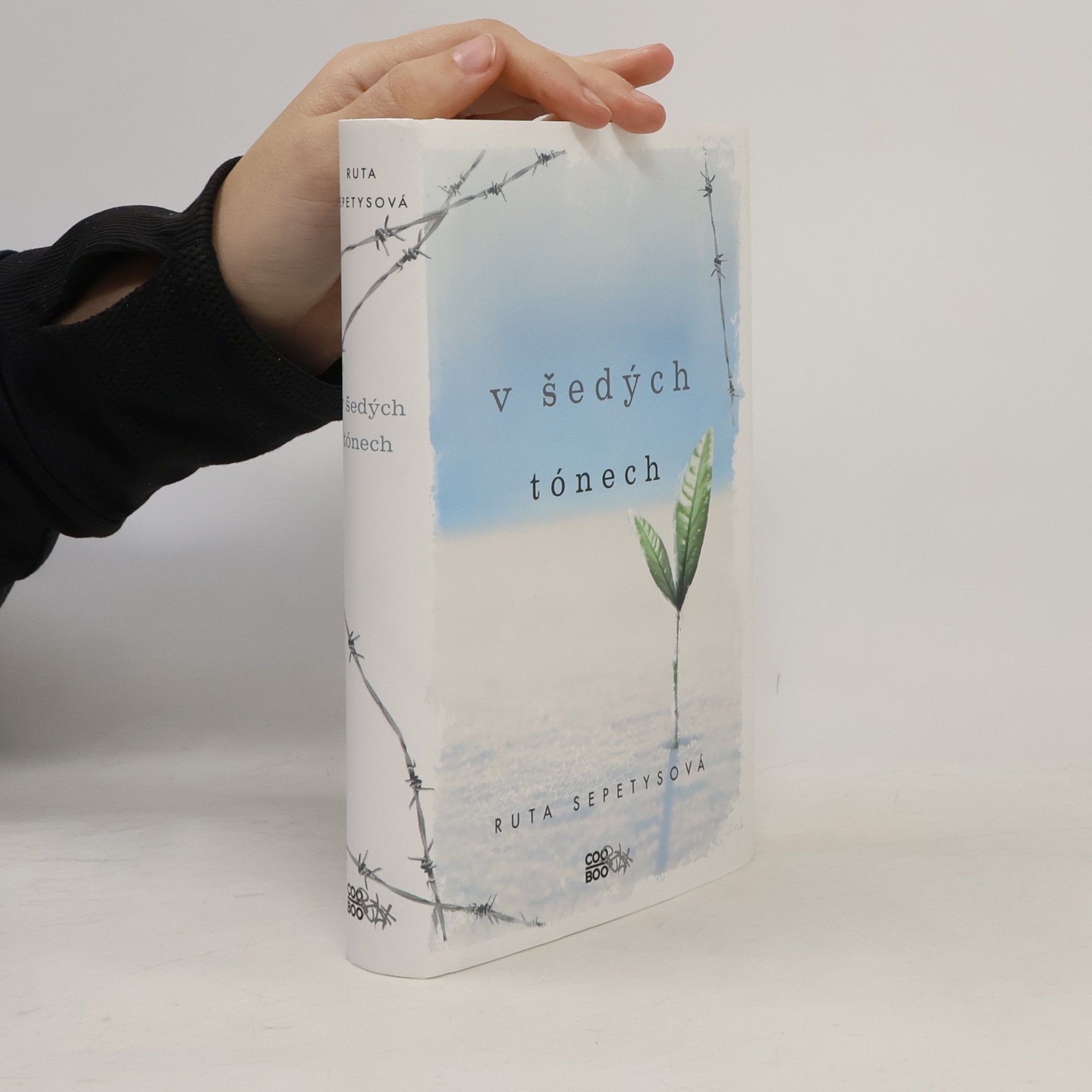 Ruta Sepetys V šedých tónech