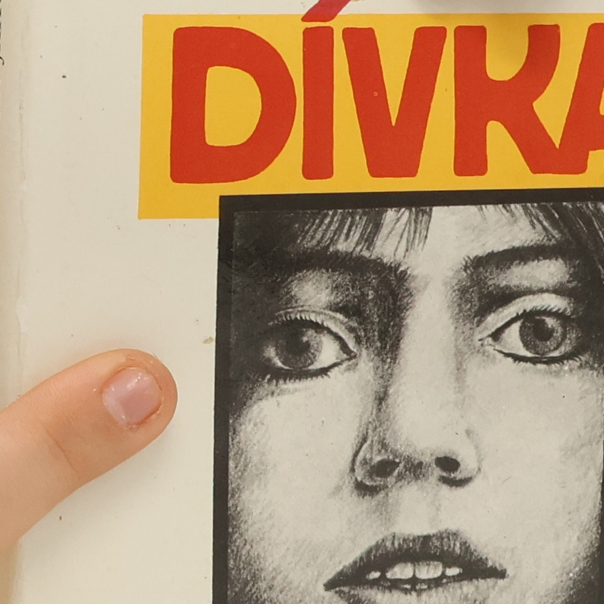 Eva Schmidt Dívka jako ty