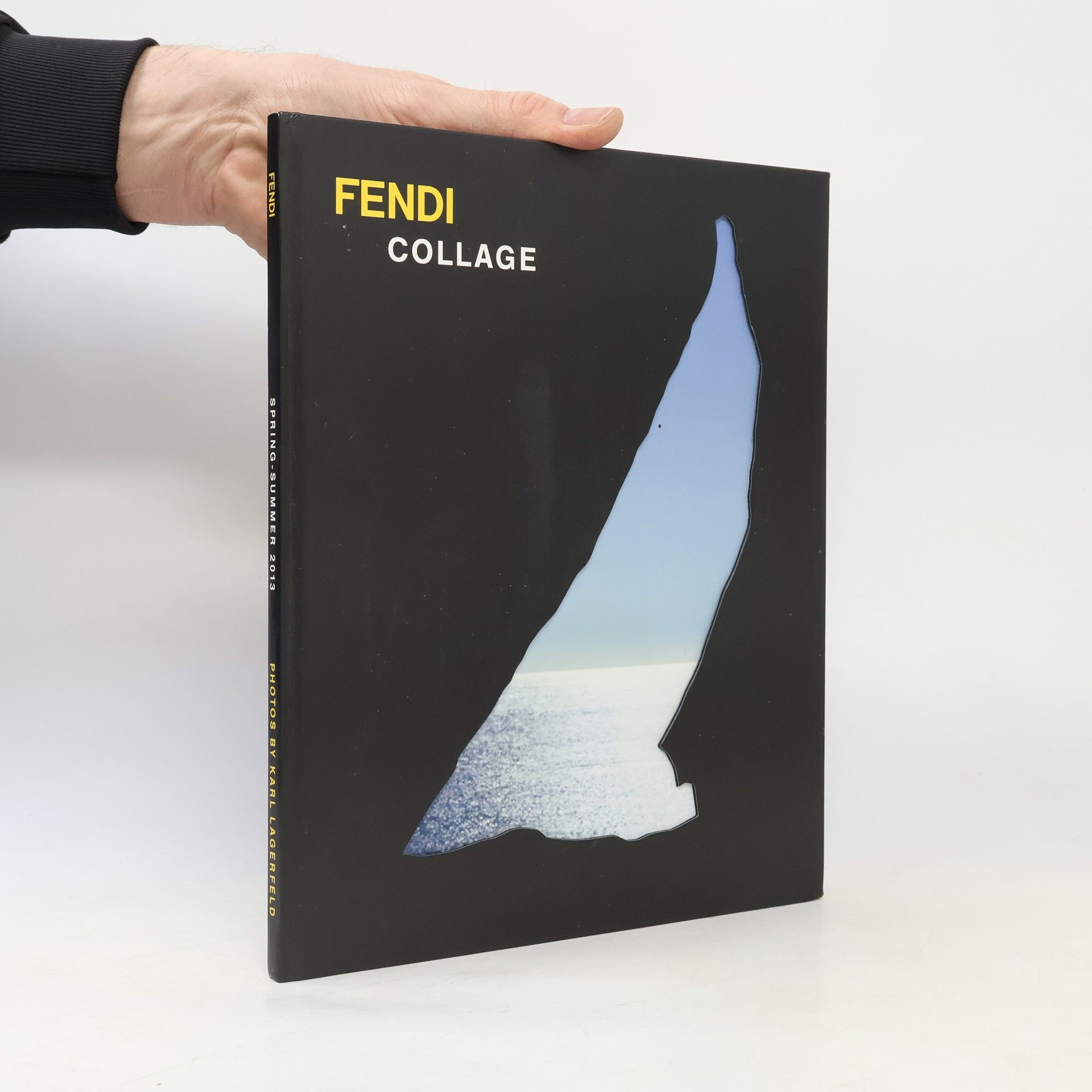 Karl Lagerfeld Fendi Collage