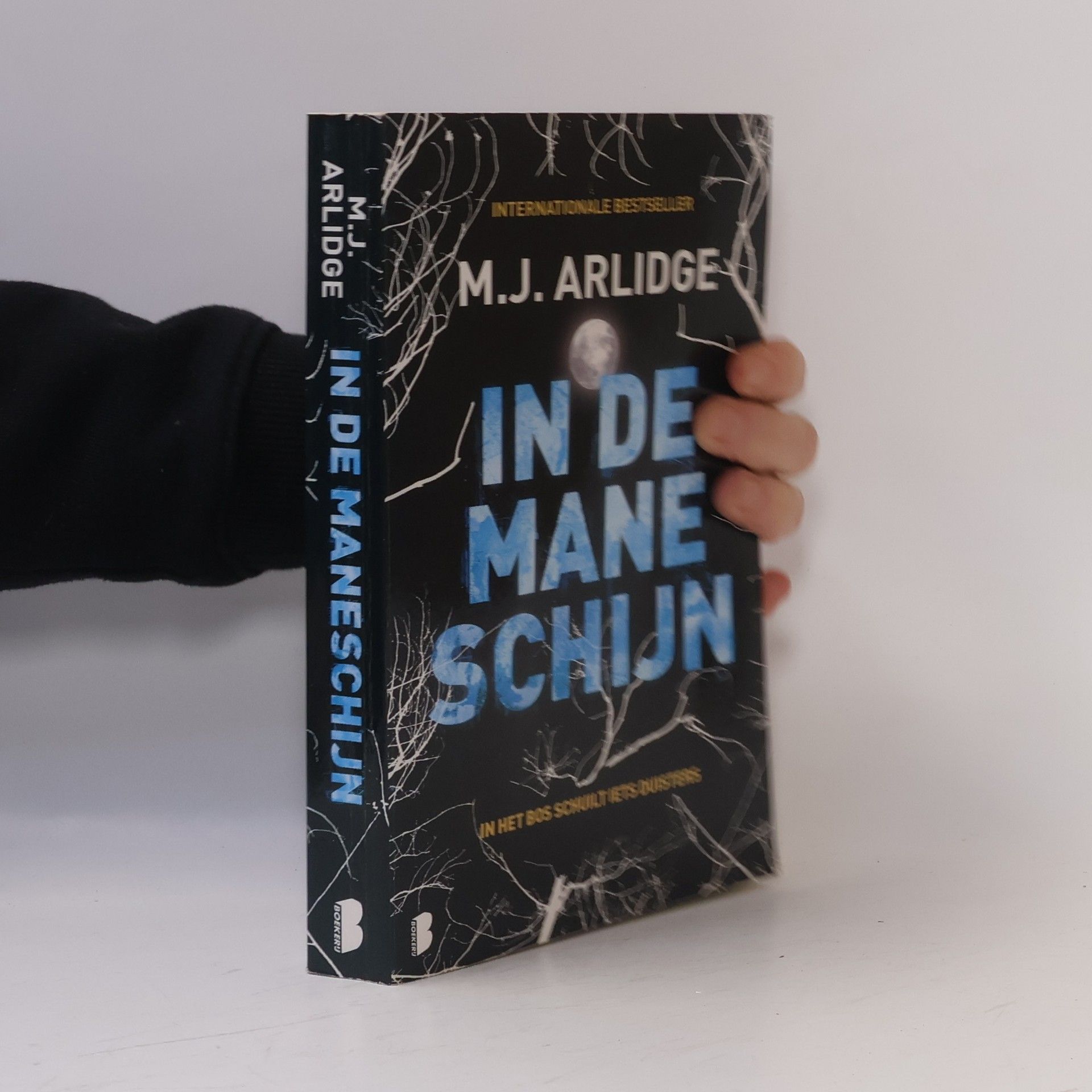 M. J. Arlidge In de maneschijn