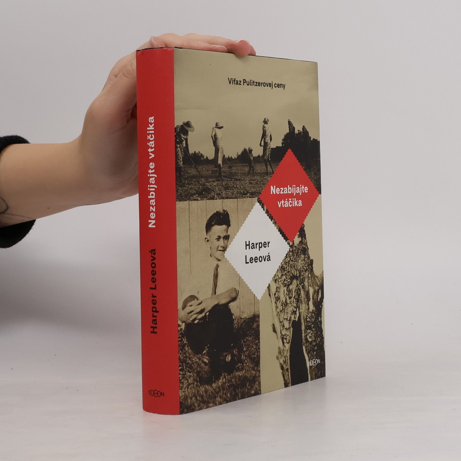 Harper Lee Nezabíjajte vtáčika