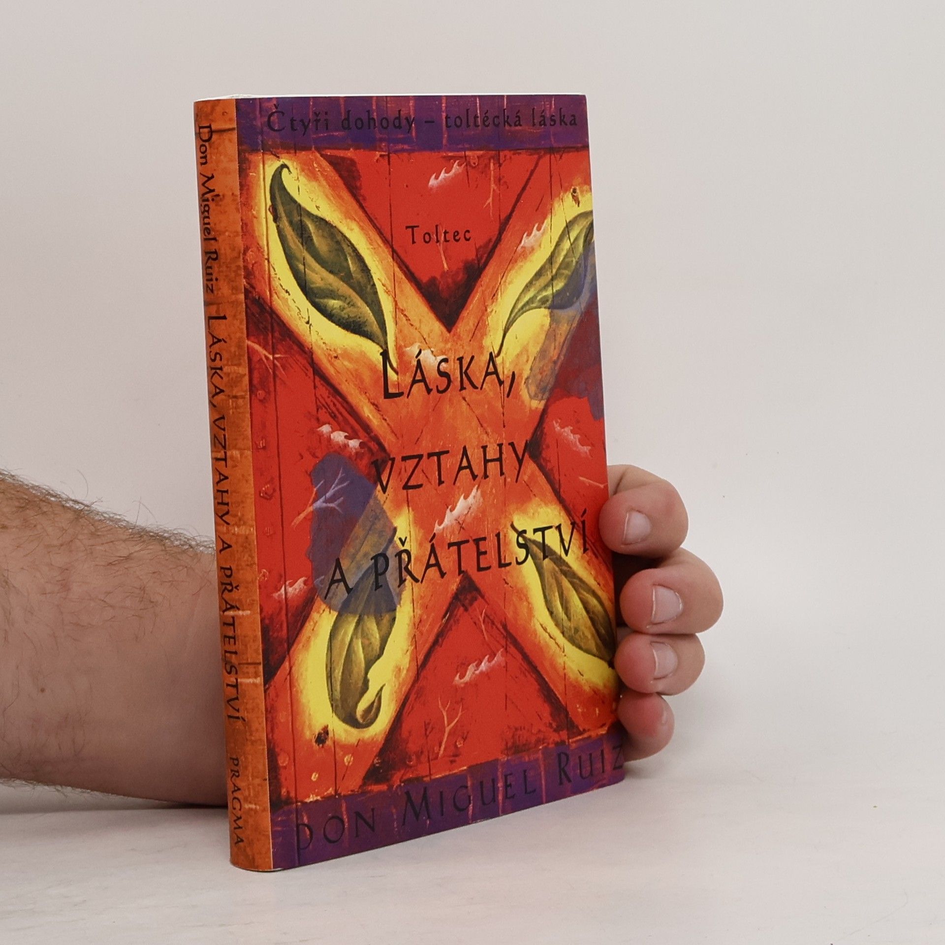 Don Miguel Ruiz Láska, vztahy a přátelství