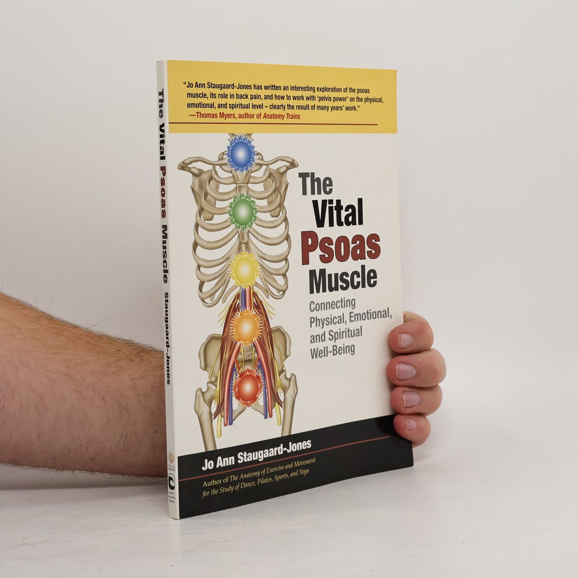 The Vital Psoas Muscle