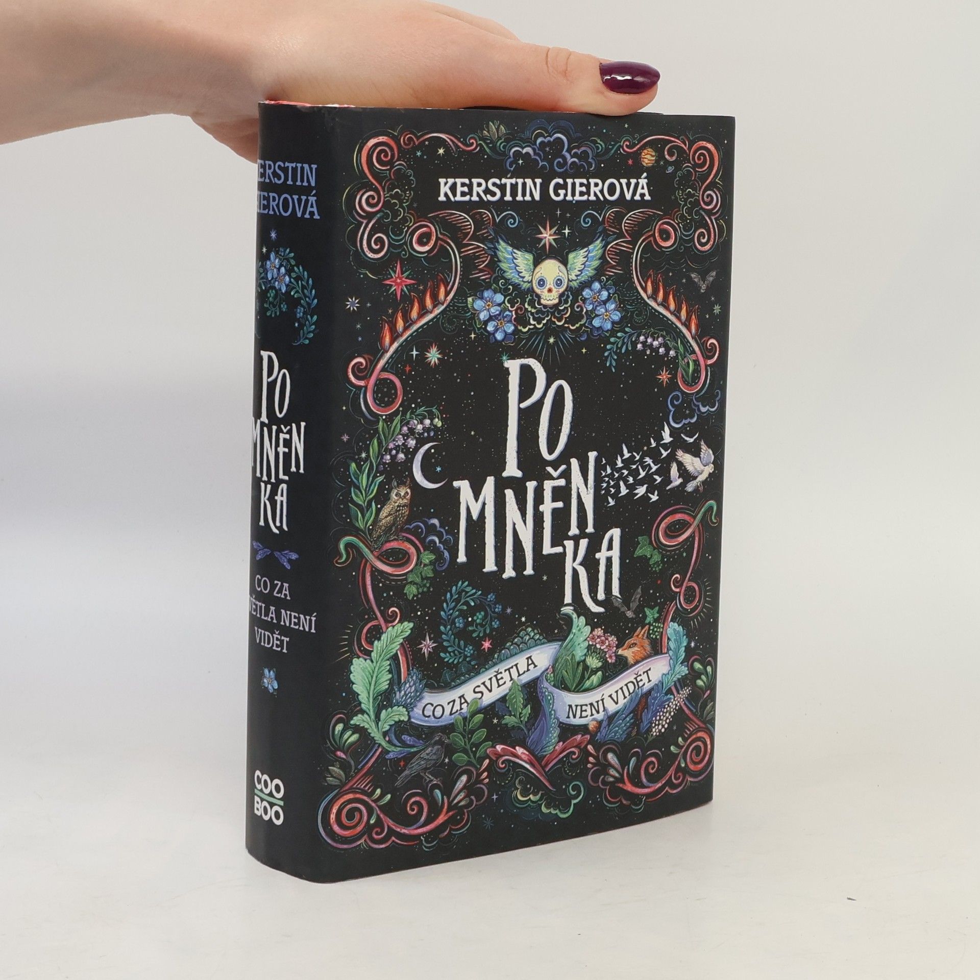 Kerstin Gier Pomněnka : co za světla není vidět