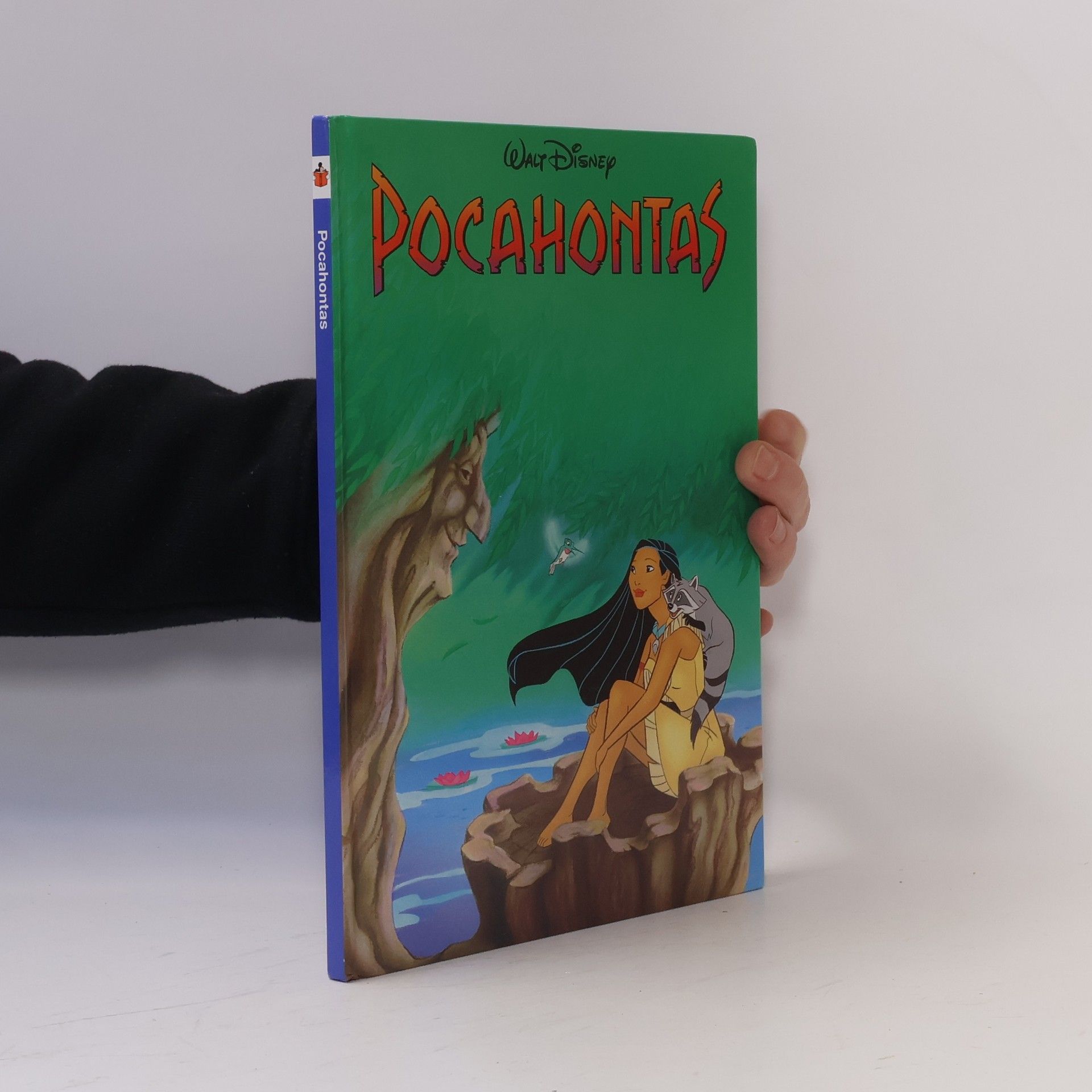 Walt Disney Pocahontas