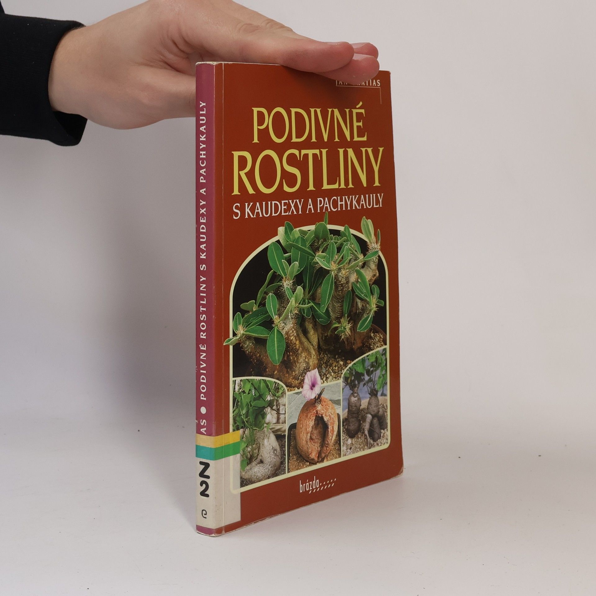 Jan Gratias Podivné rostliny s kaudexy a pachykauly