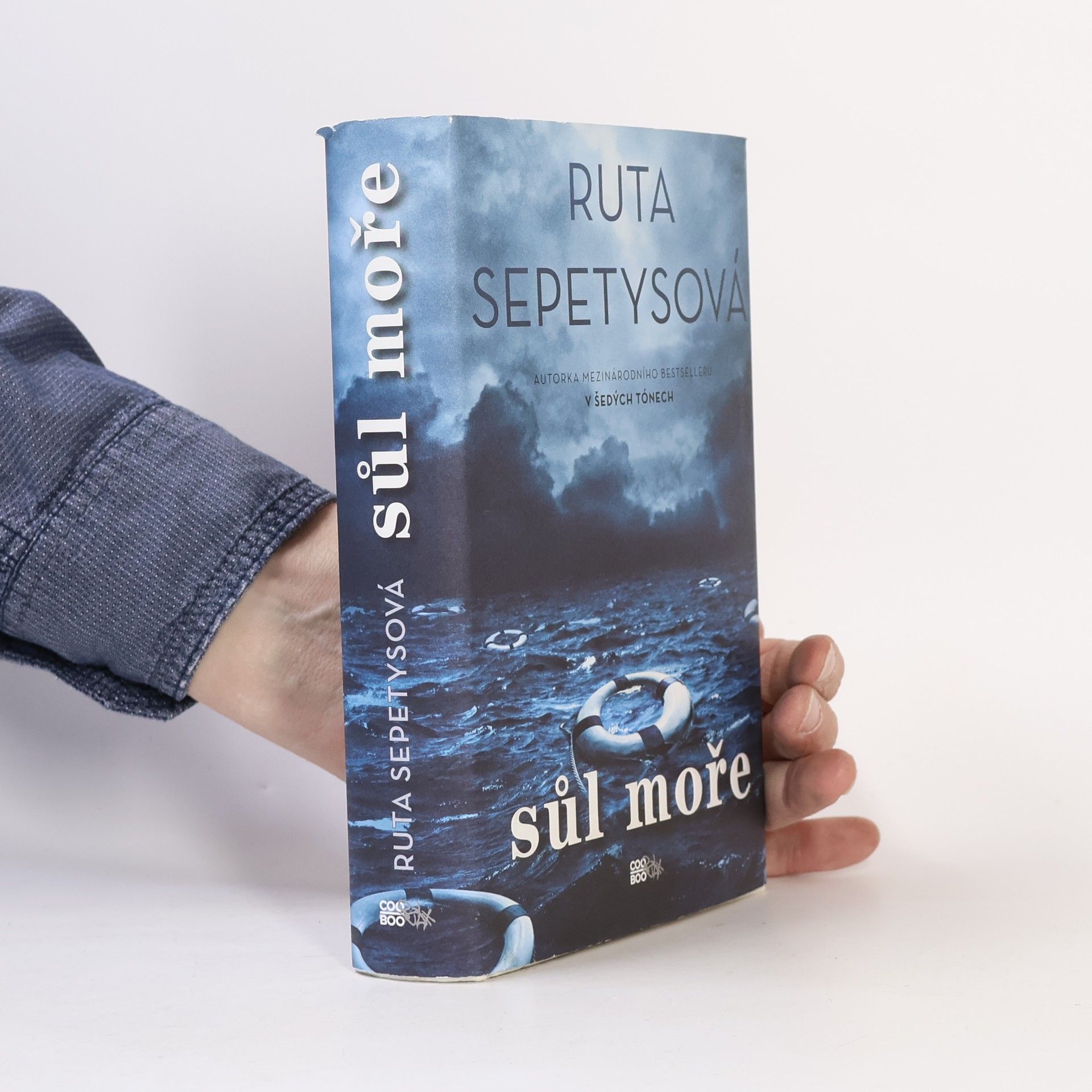 Ruta Sepetysová Sůl moře