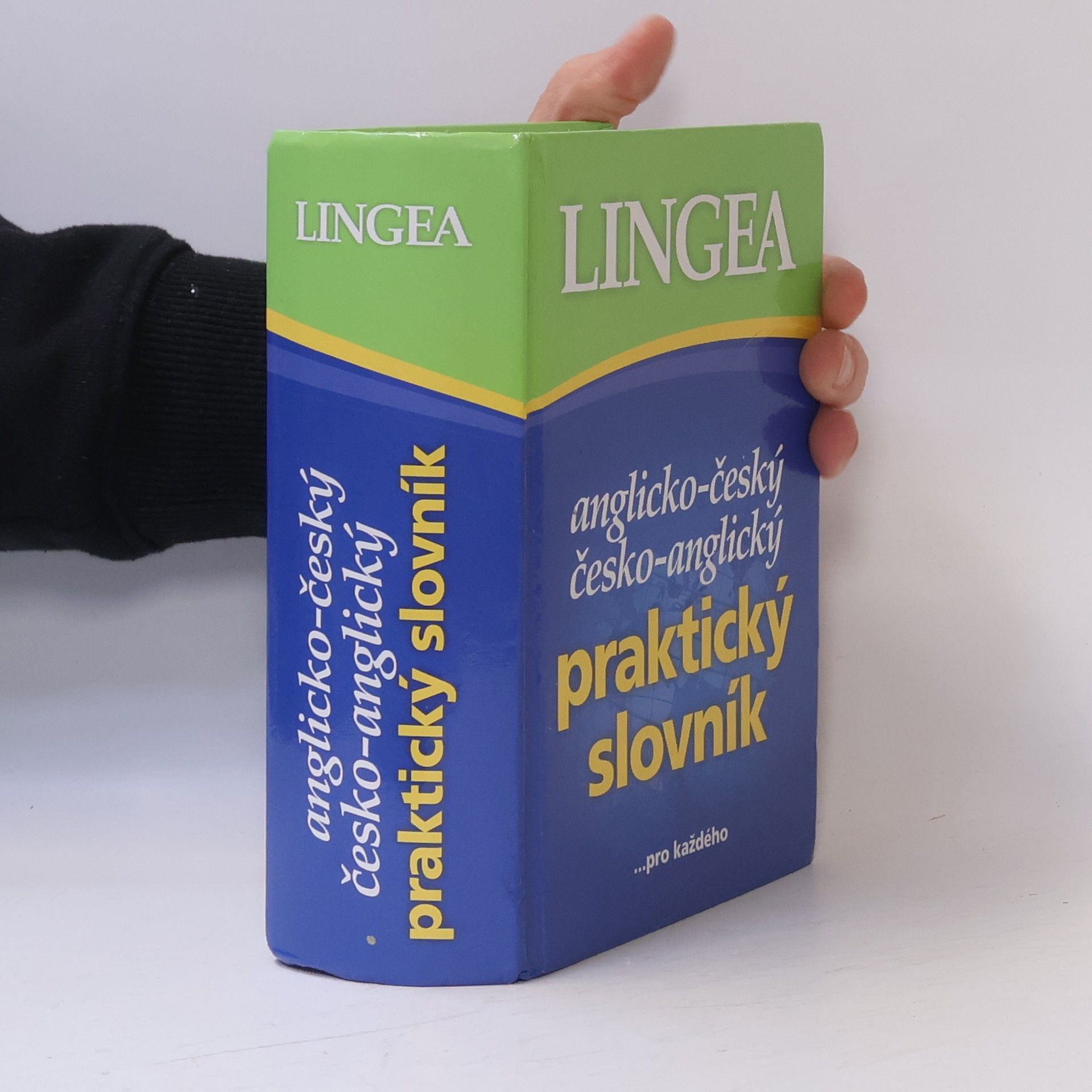 Autorenkollektiv Anglicko-český, česko-anglický praktický slovník