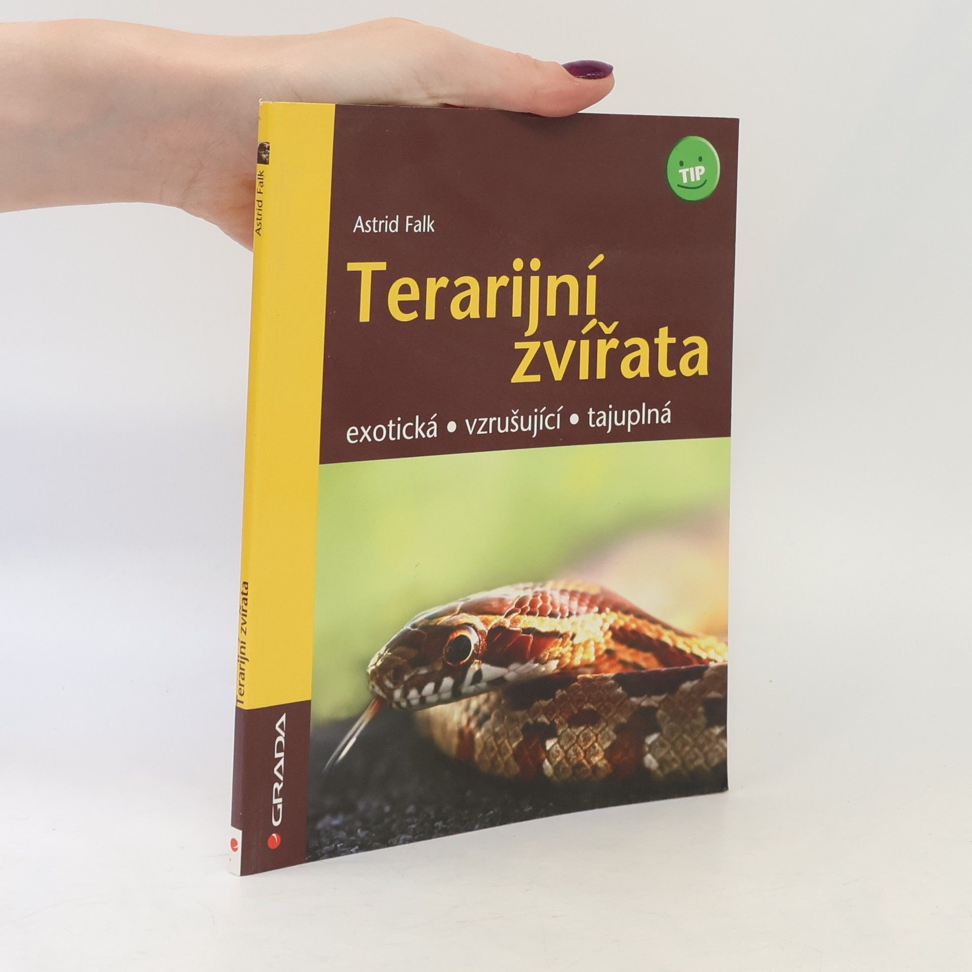 Astrid Falk Terarijní zvířata - exotická, vzrušující, tajuplná