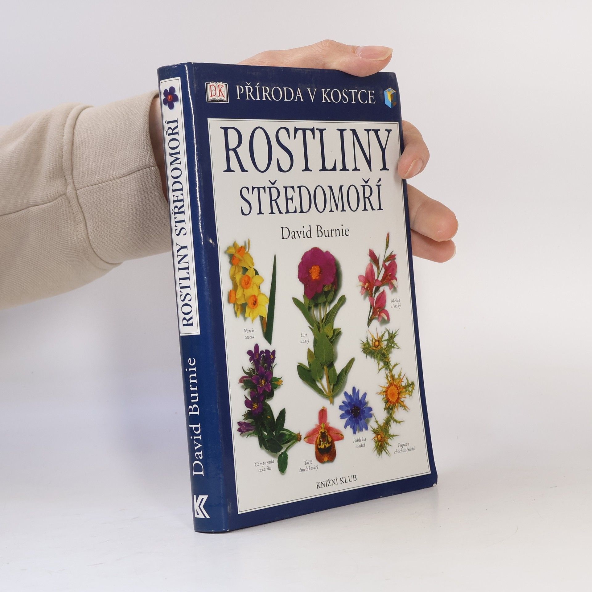 Derek Hall Rostliny Středomoří