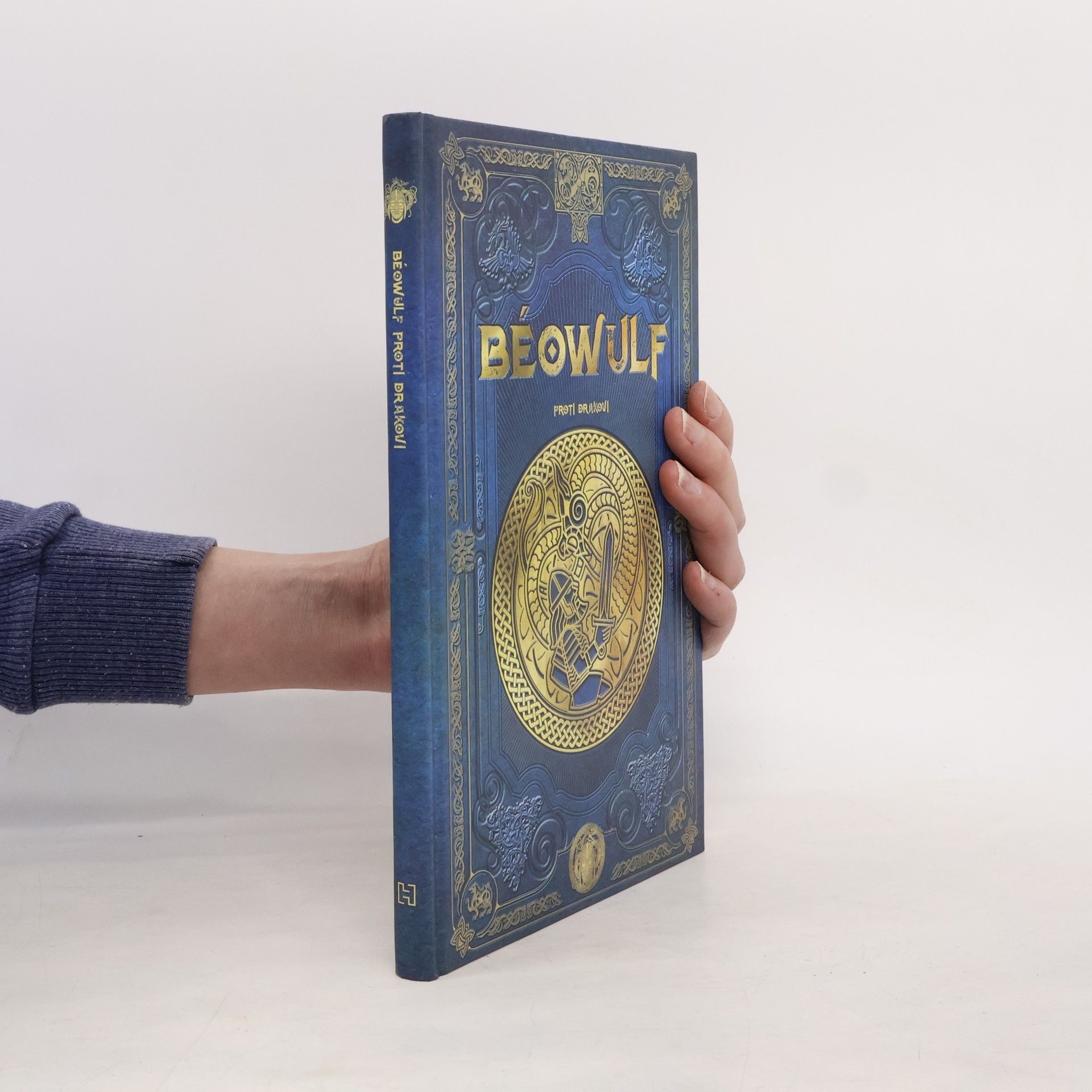 Collectif d'auteurs Béowulf proti drakovi