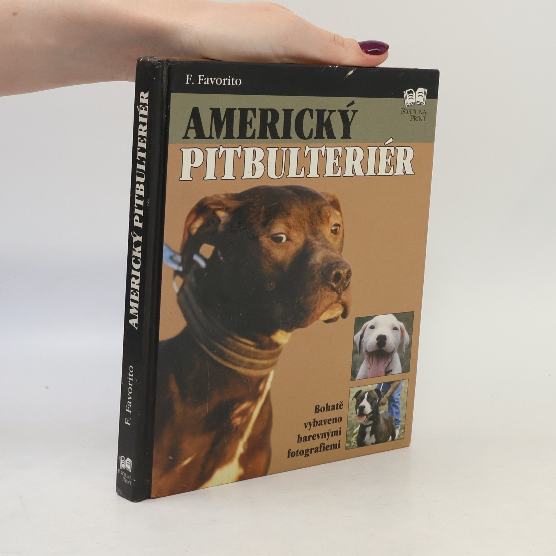 F. Favorito Americký pitbulteriér