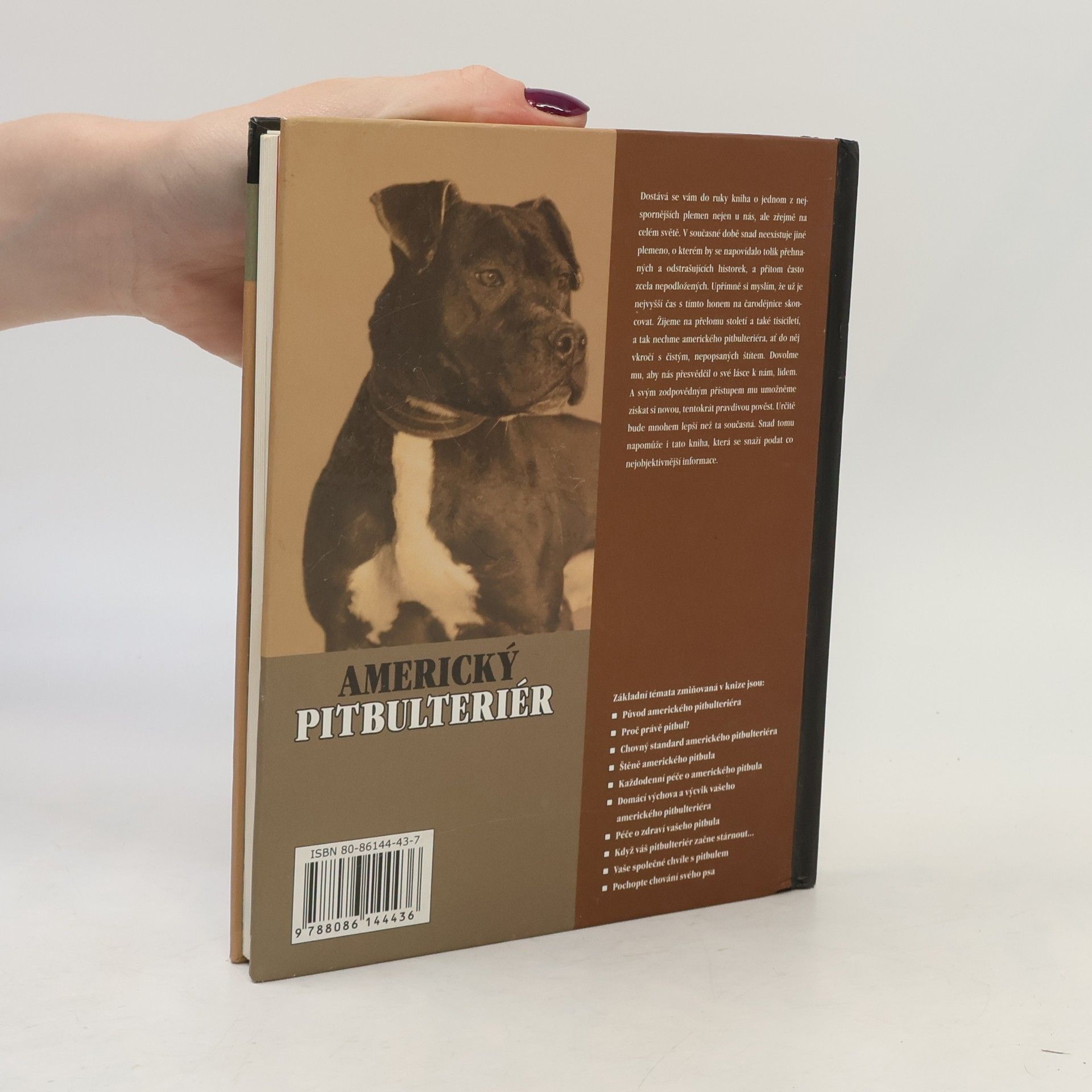 F. Favorito Americký pitbulteriér