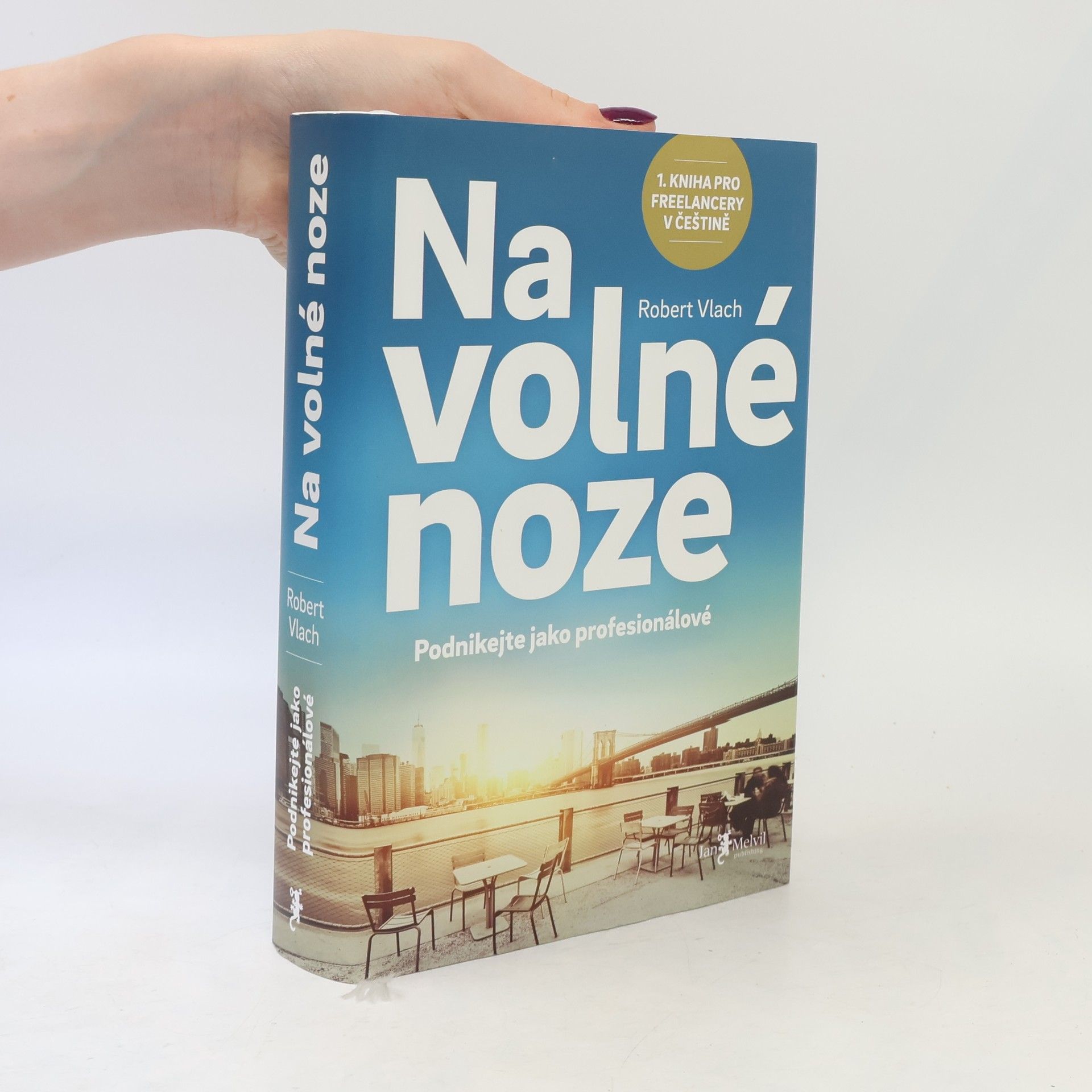Robert Vlach Na volné noze