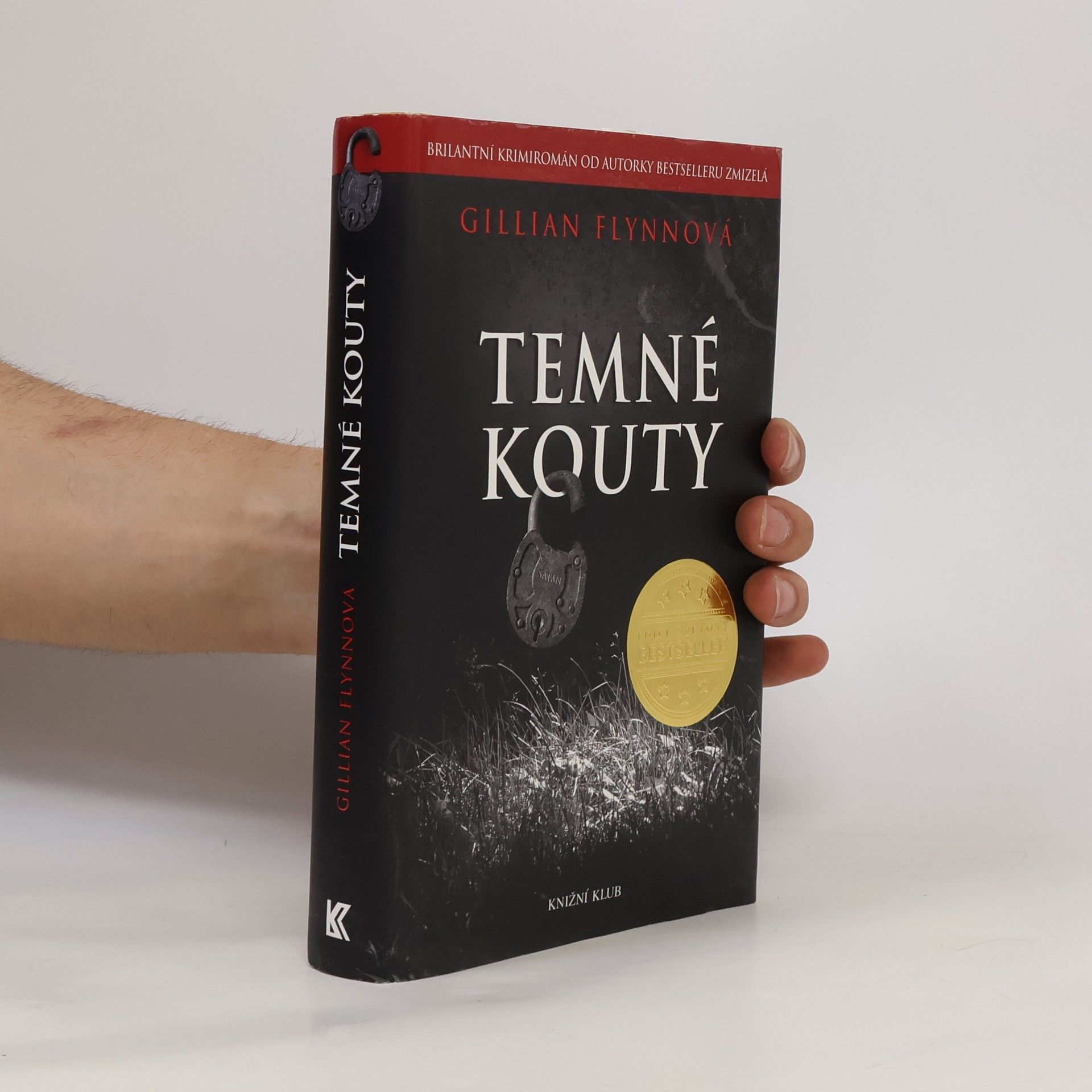 Gillian Flynn Temné kouty