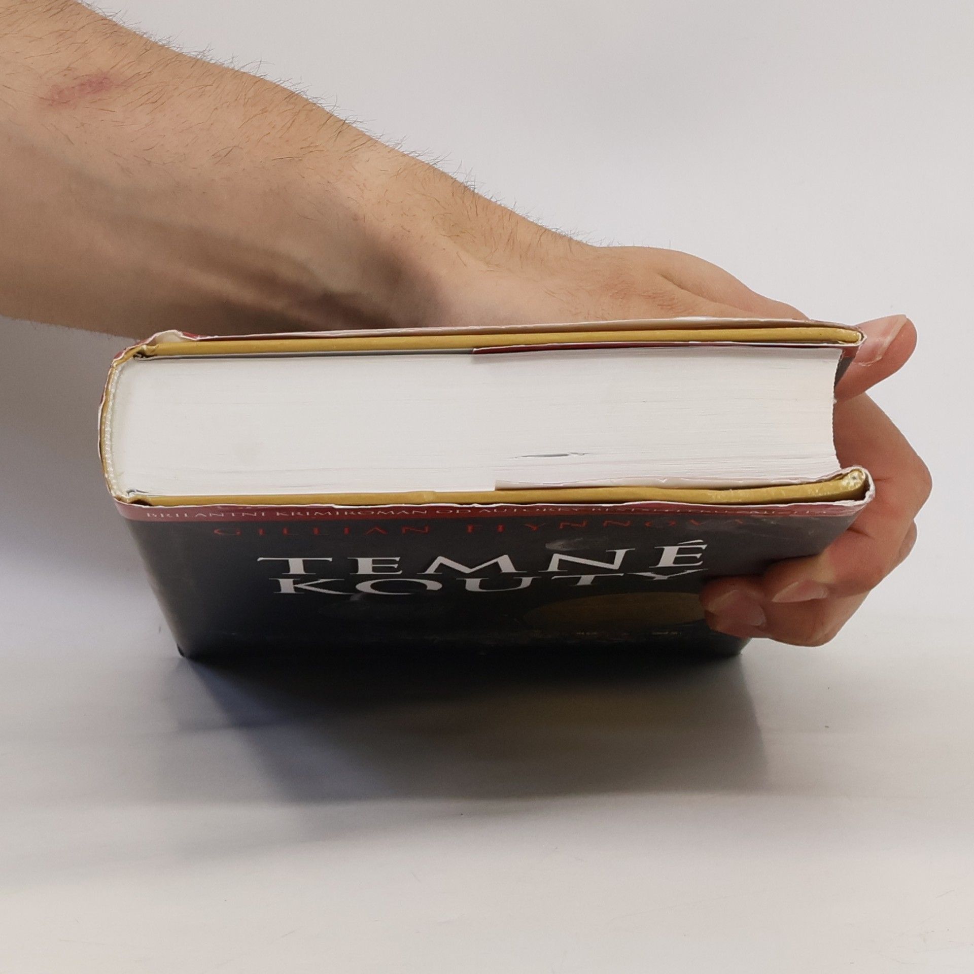 Gillian Flynn Temné kouty