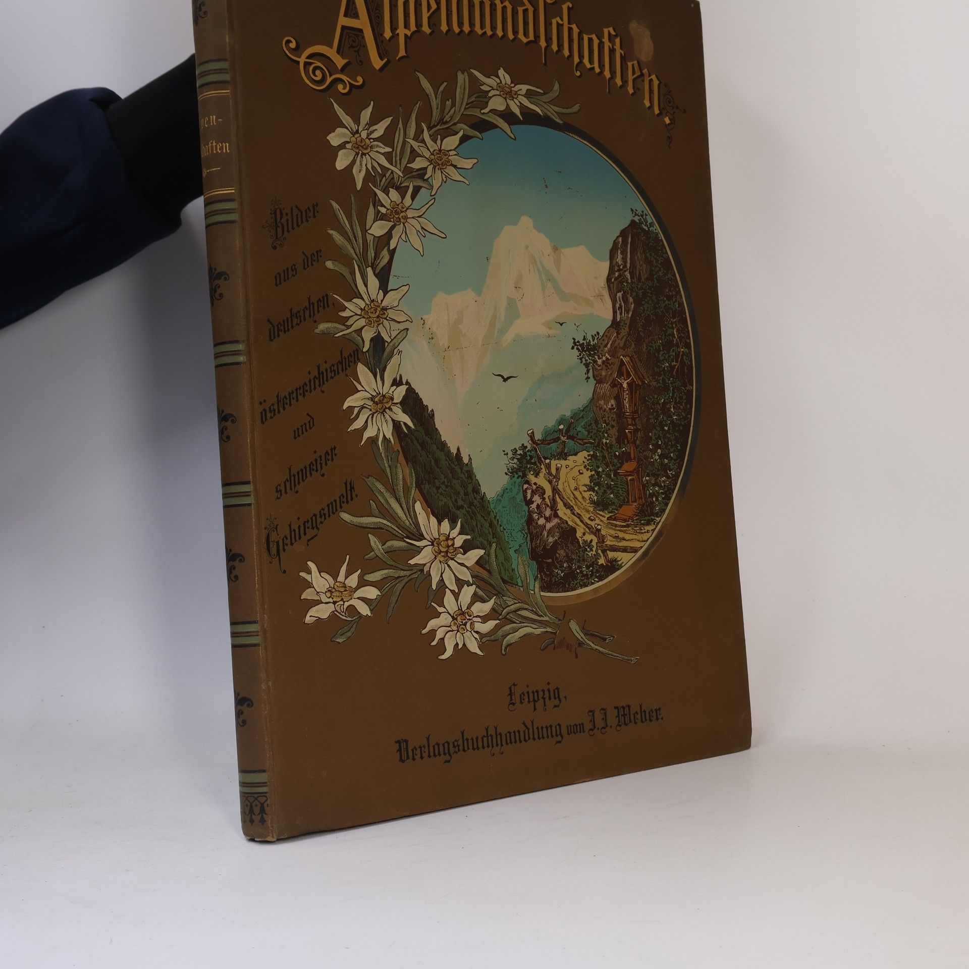 Kolektív autorov Alpenlandschaften