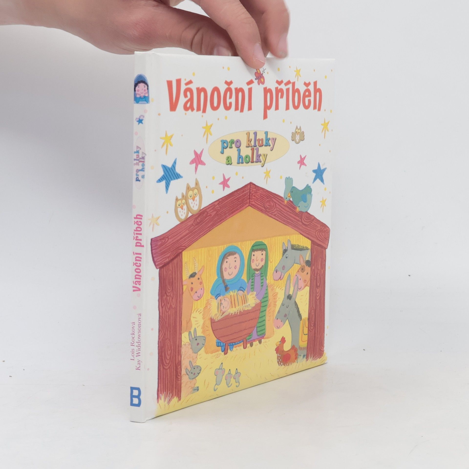 Lois Rocková Vánoční příběh pro kluky a holky
