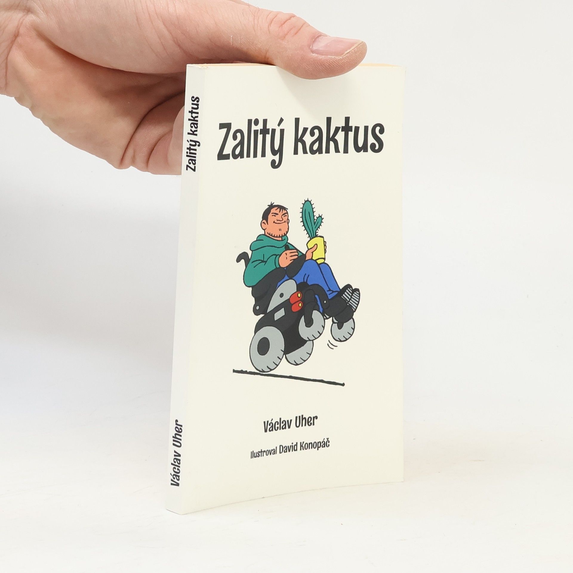 Václav Uher Zalitý kaktus