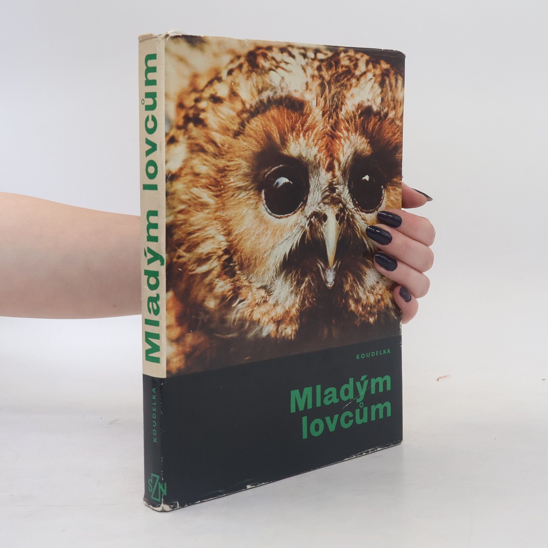 Januš Koudelka Mladým lovcům