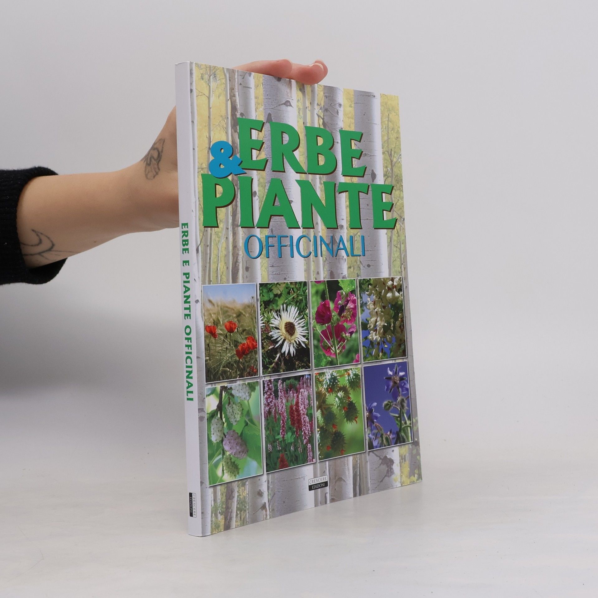 Autorenkollektiv Manuali: Erbe e piante officinali