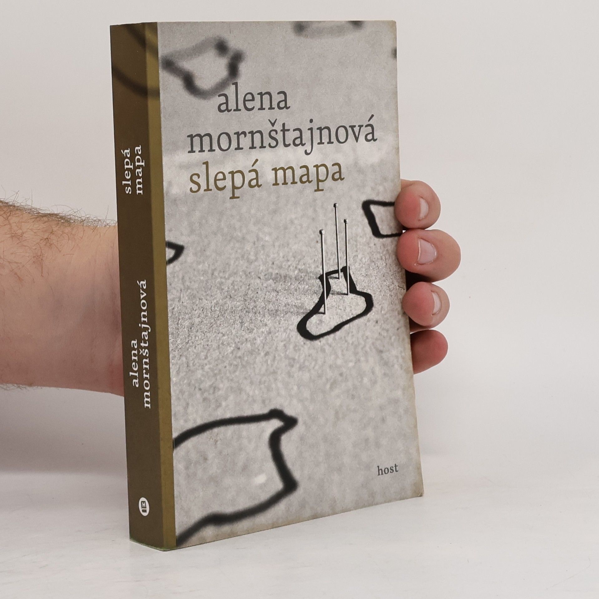 Alena Mornštajnová Slepá mapa