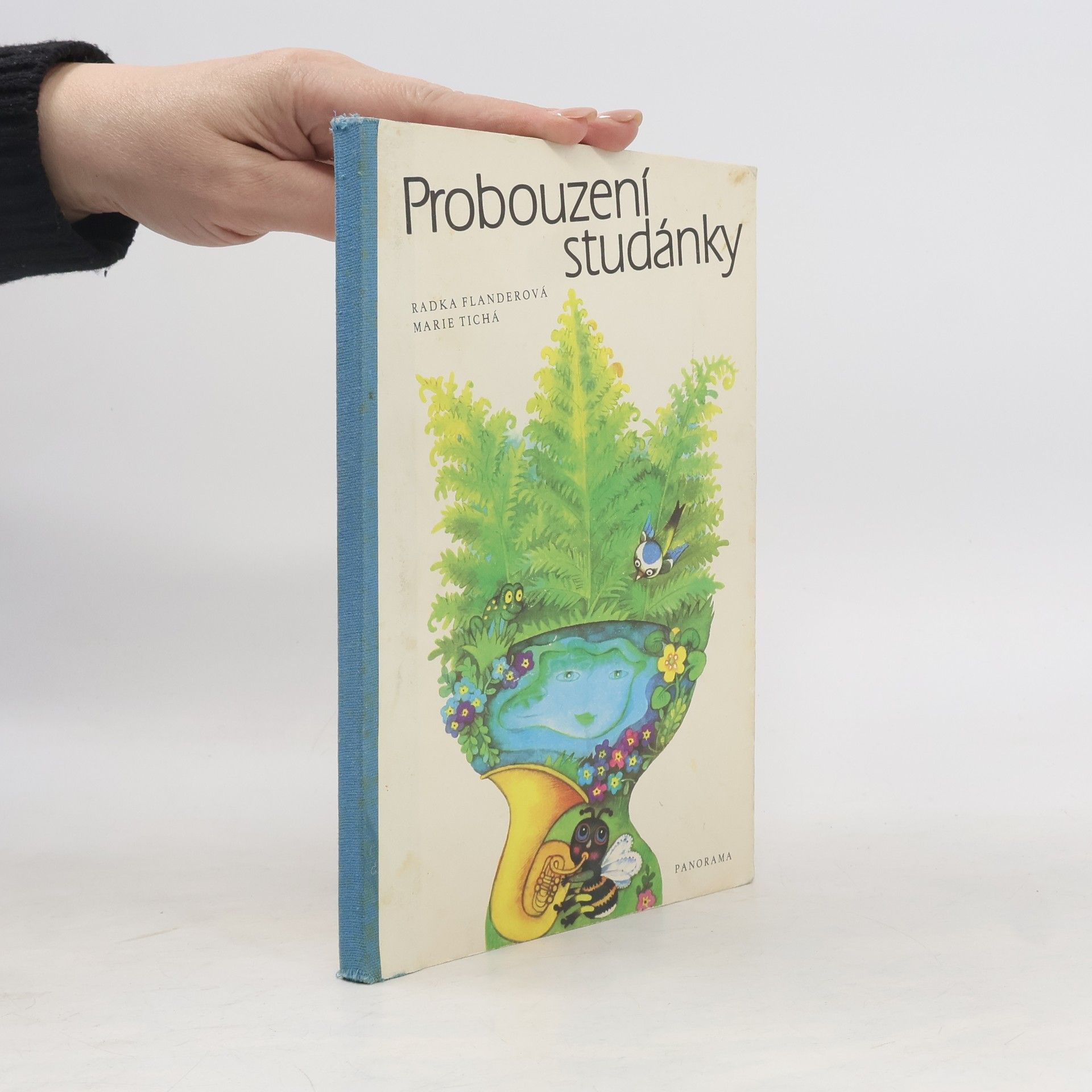 Radka Flanderová Probouzení studánky