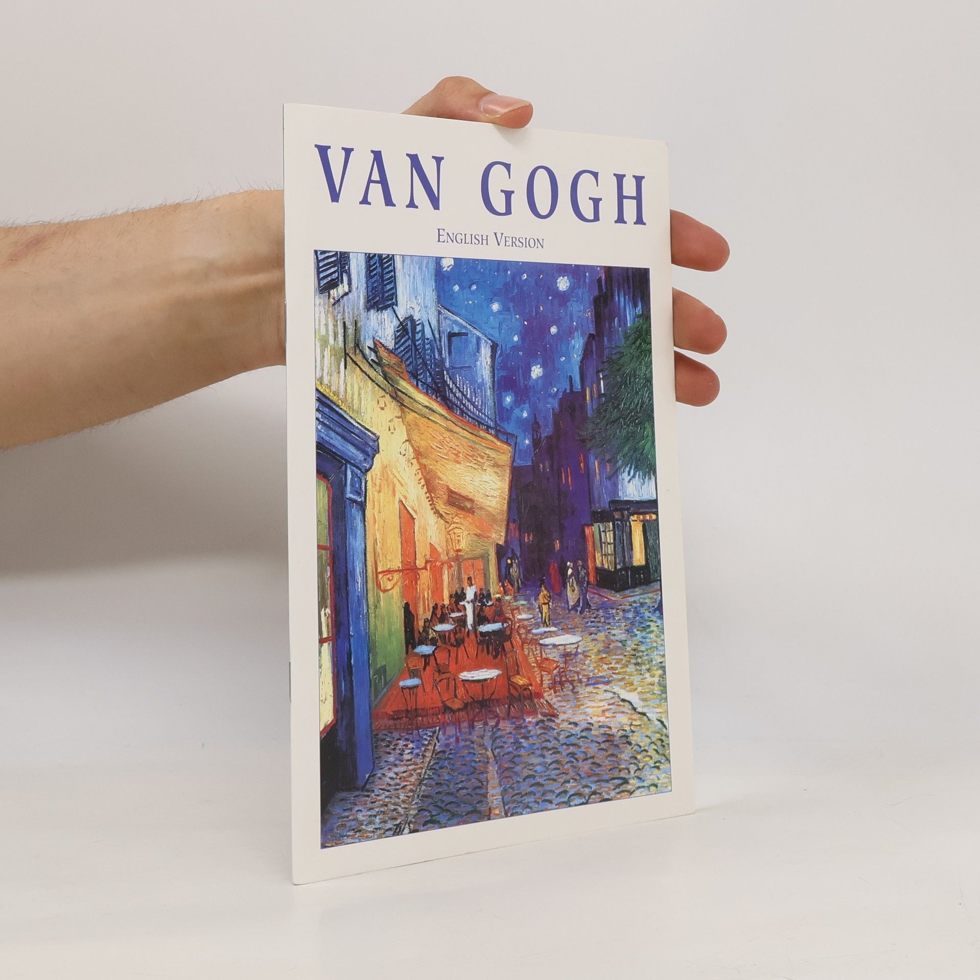 Annemiek Overbeek Van Gogh Museum - guide