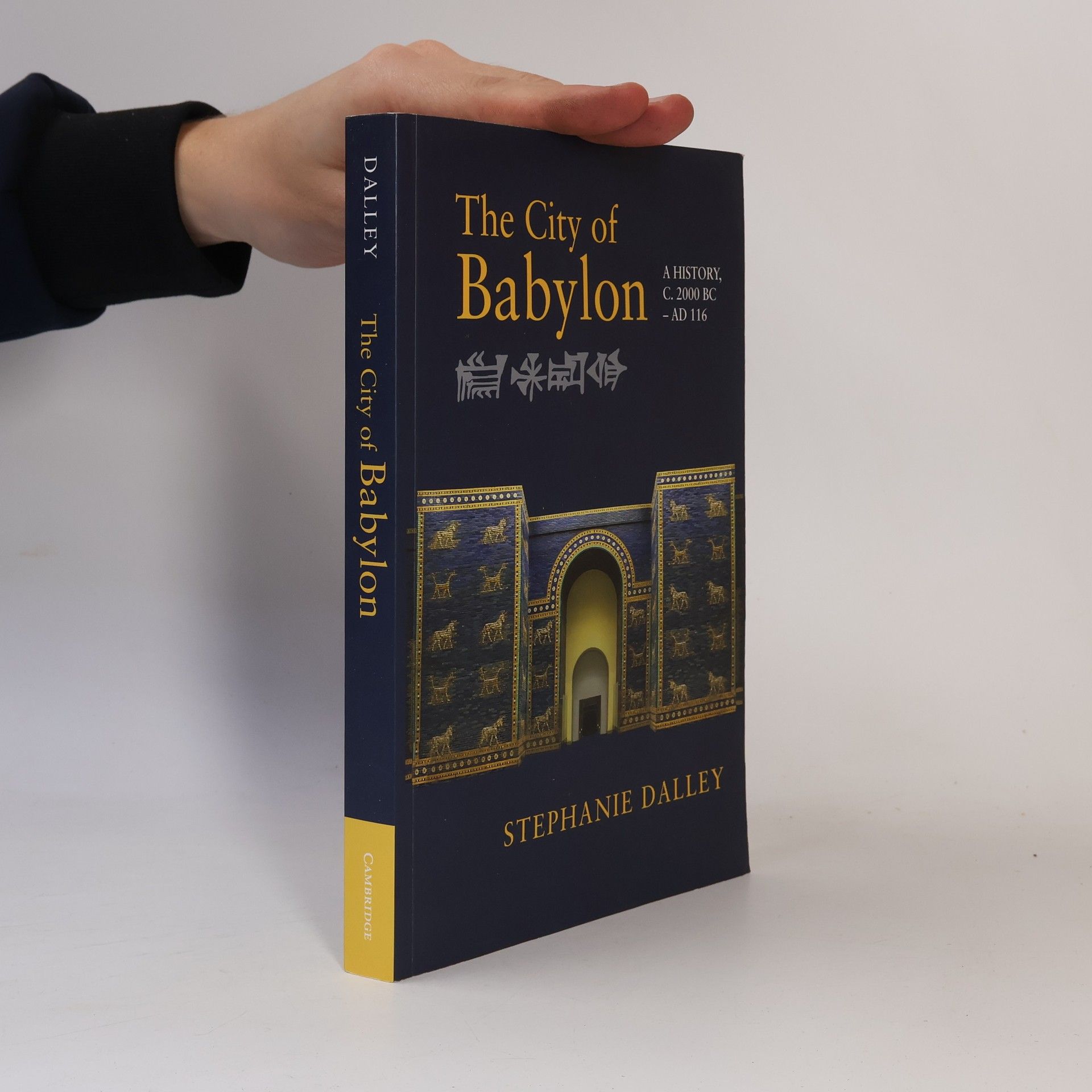 Stephanie Dalley The City of Babylon