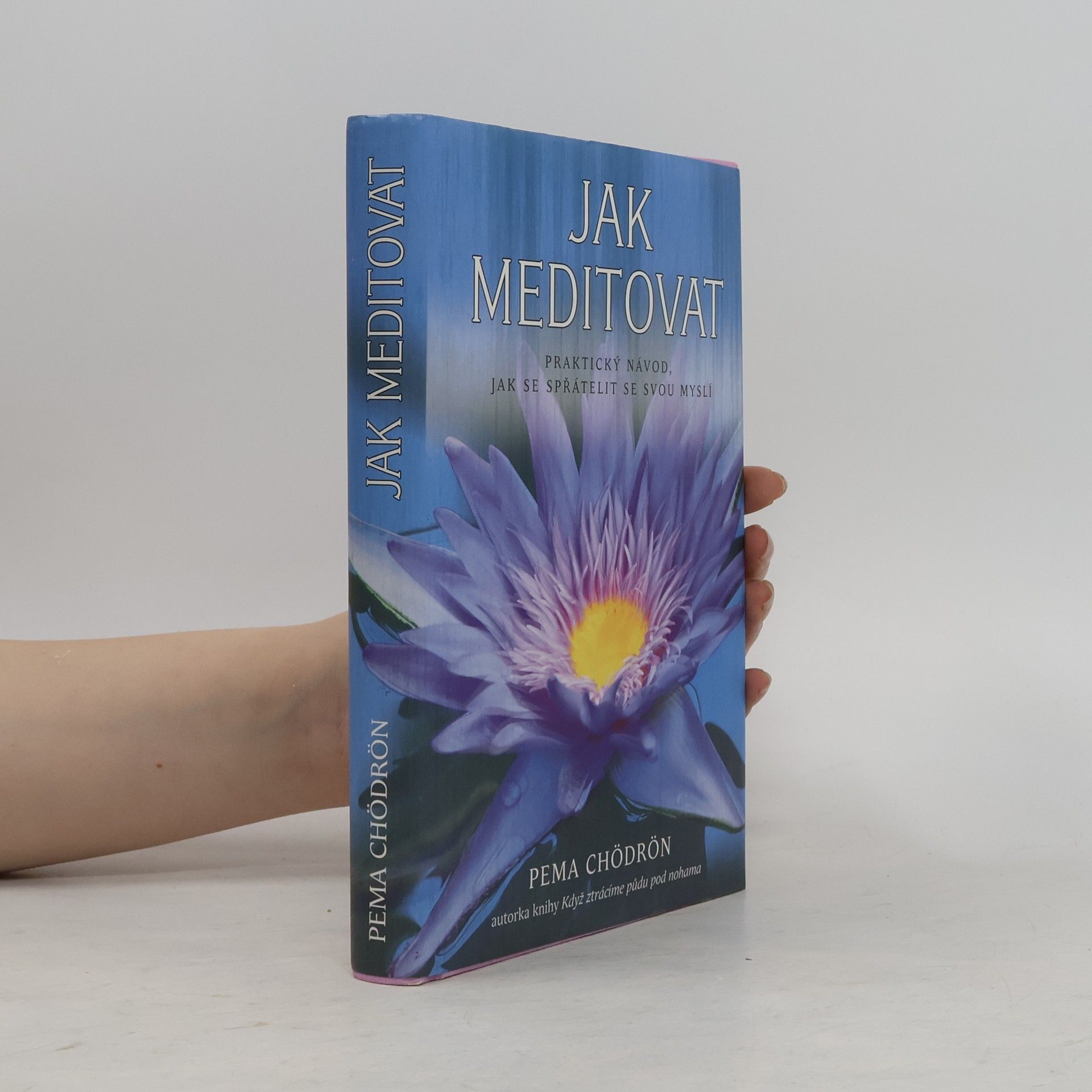 Pema Chödrön Jak meditovat