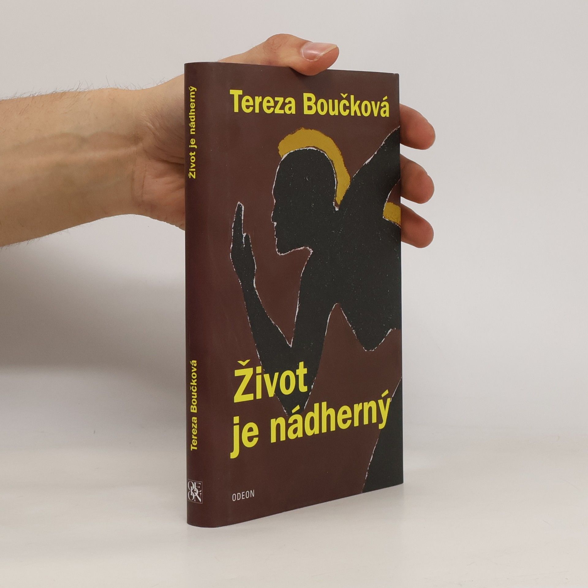 Tereza Boučková Život je nádherný