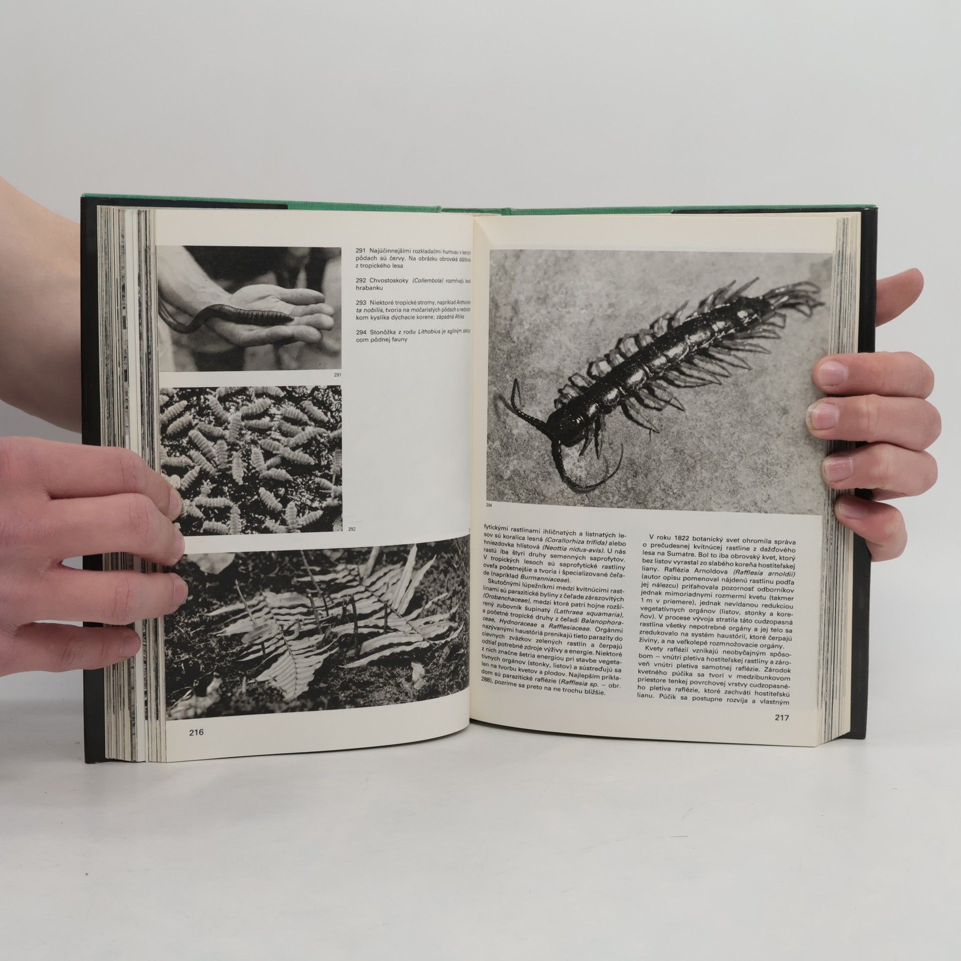 Jan Jeník Veľký obrazový atlas lesa