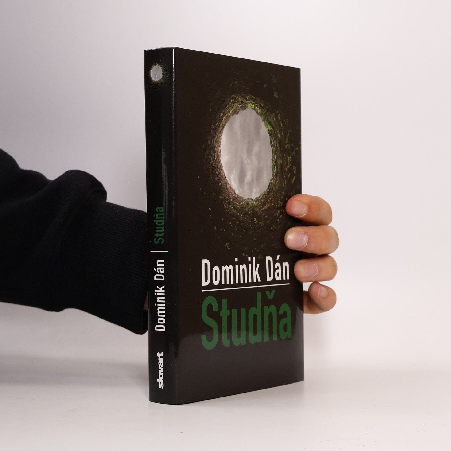 Dominik Dán Studňa