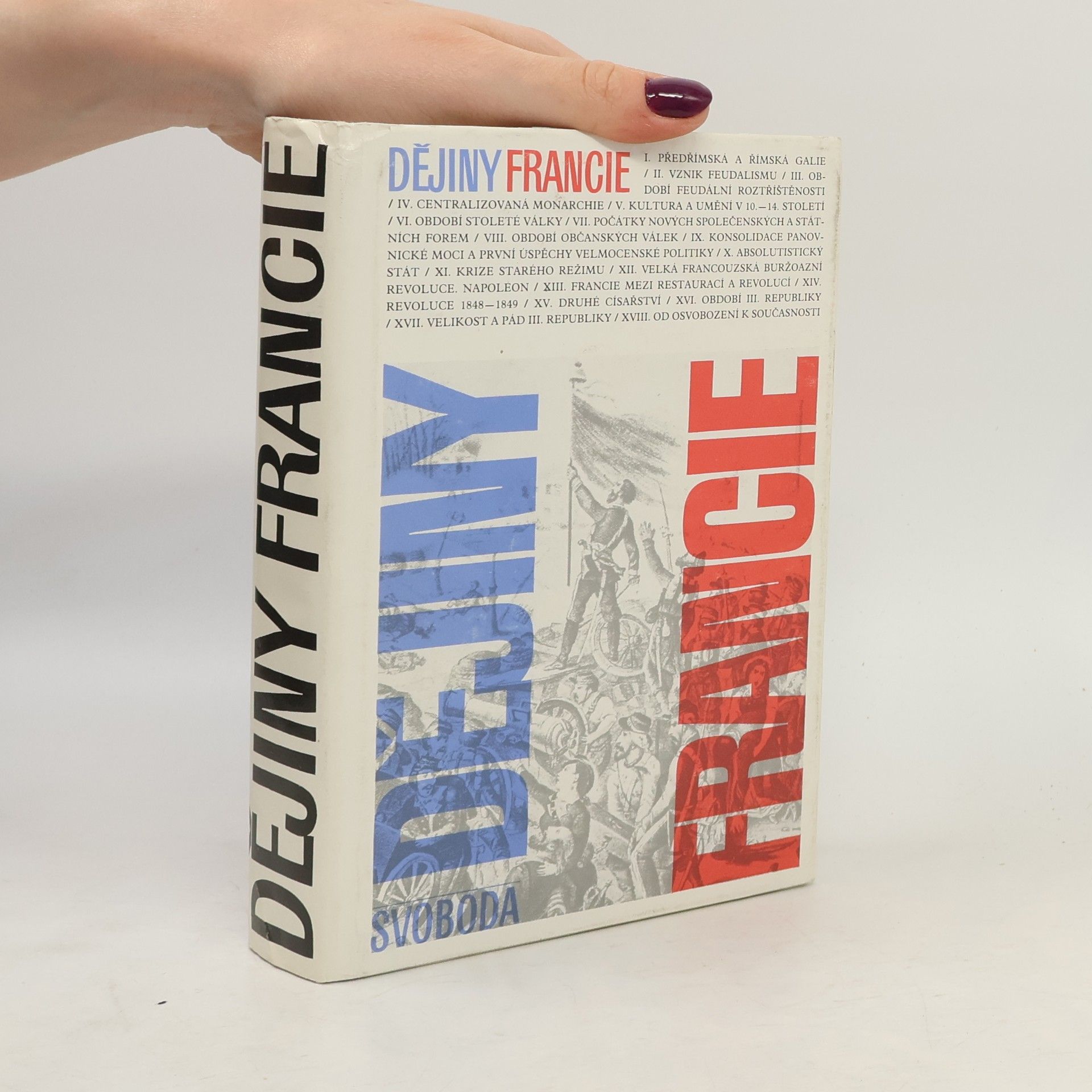 Autorenkollektiv Dějiny Francie