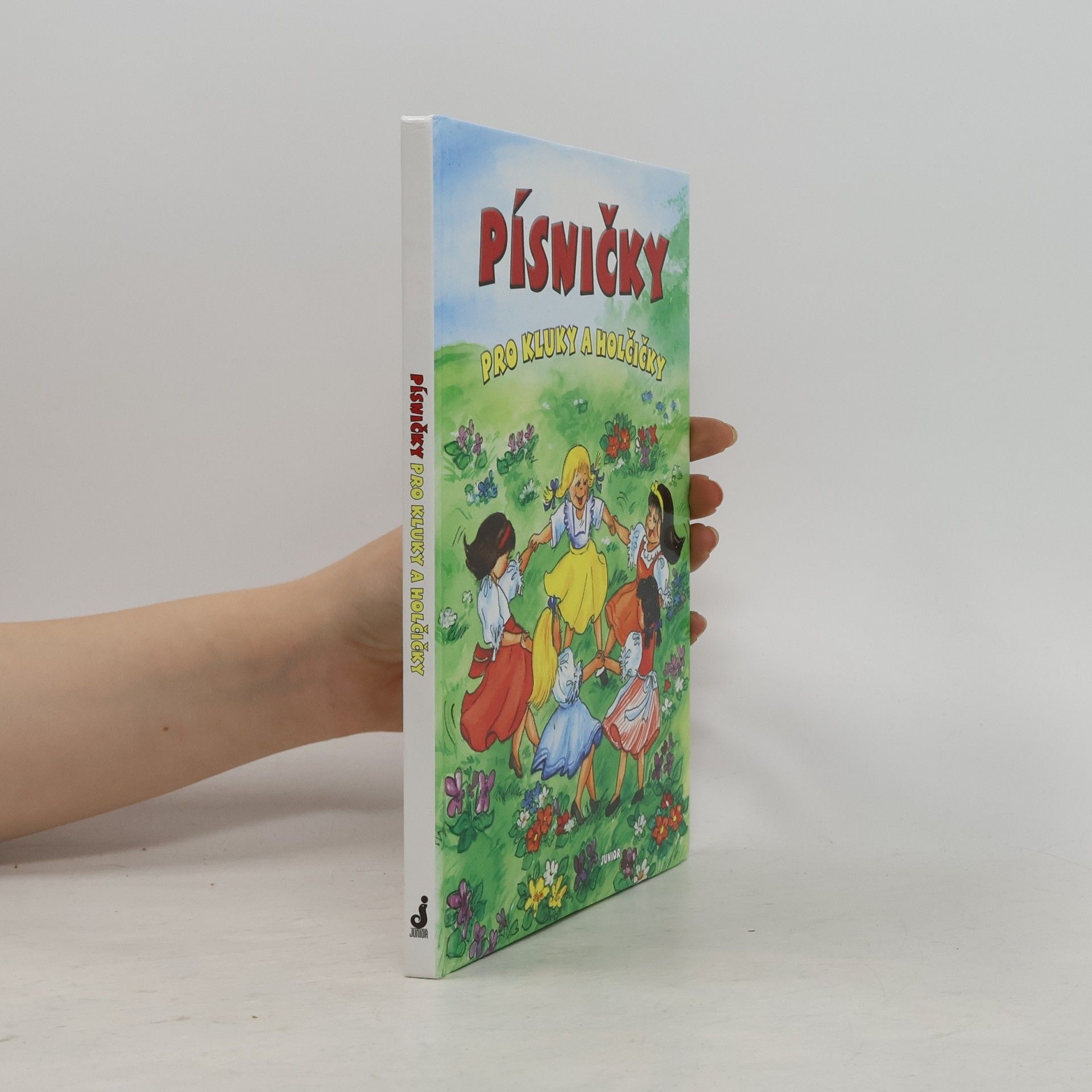 Auteurscollectief Písničky pro kluky a holčičky